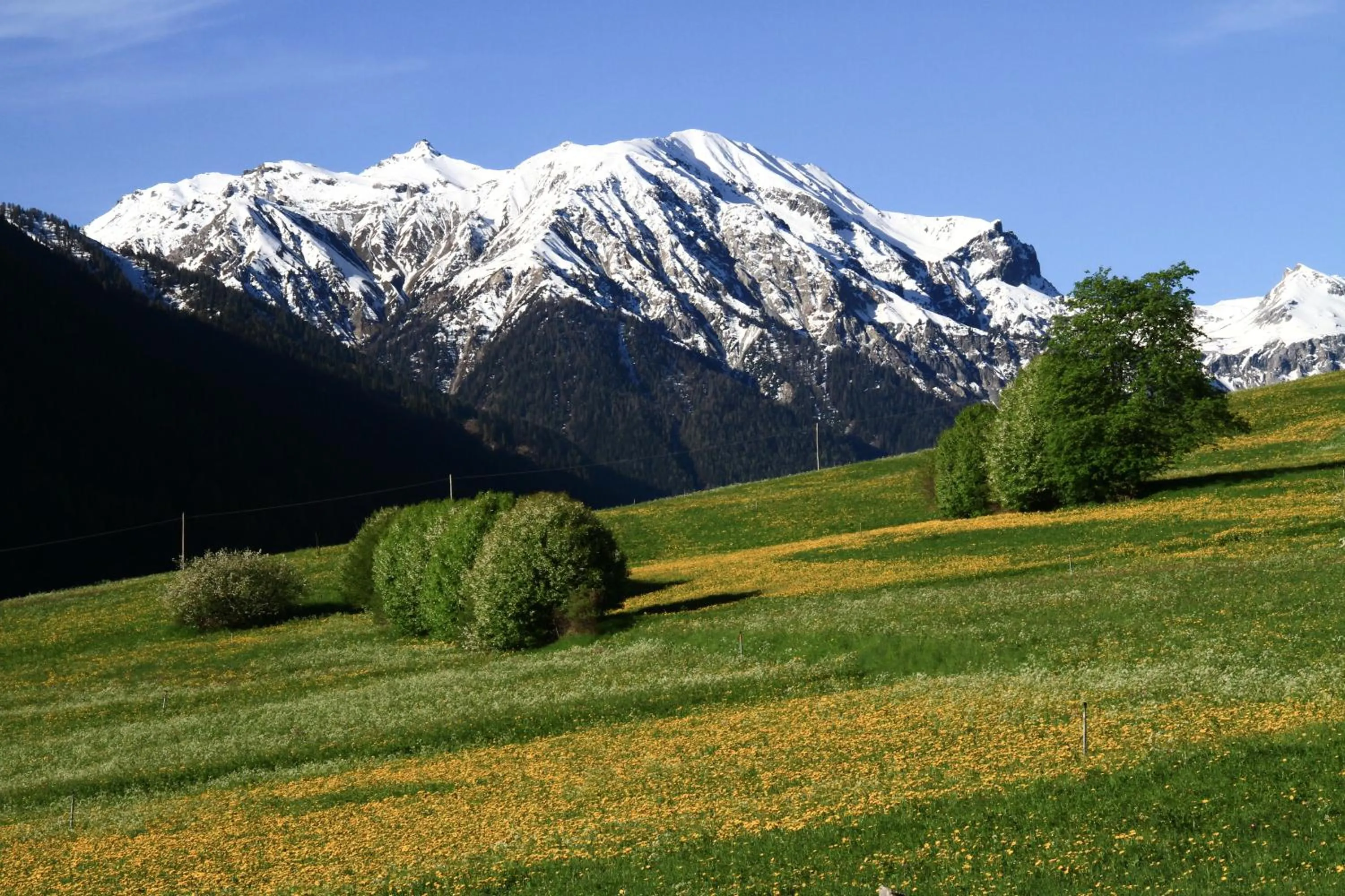 Mountain view in Hotel Chavalatsch