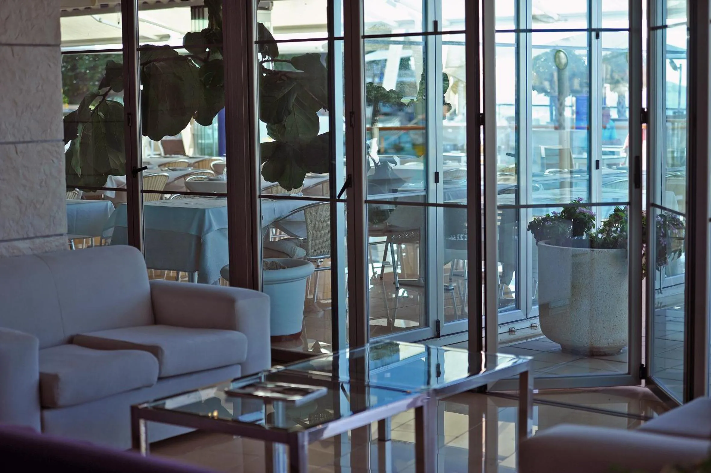 Lounge or bar in Hotel Nadal