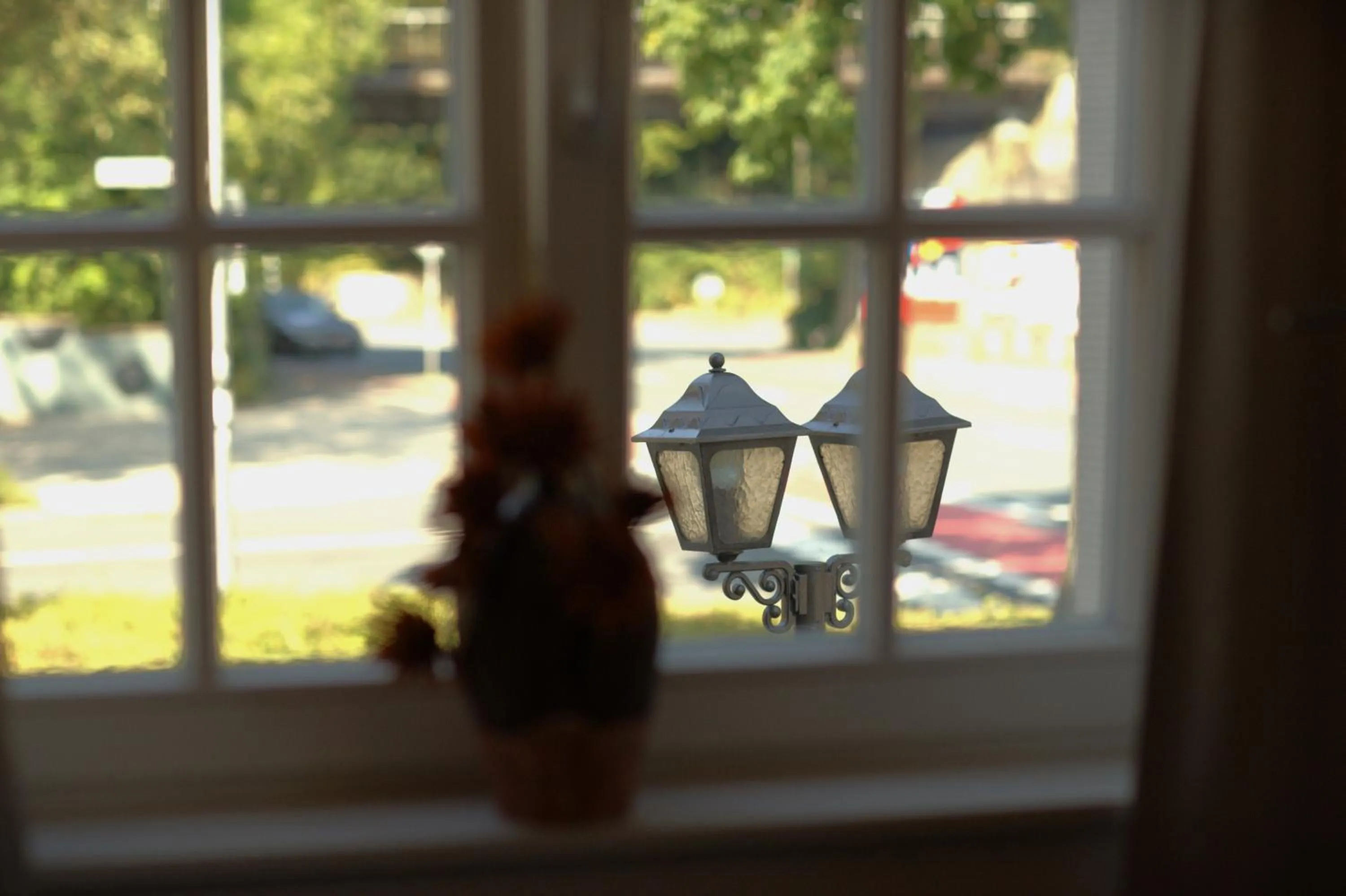 View (from property/room) in Adelhoff