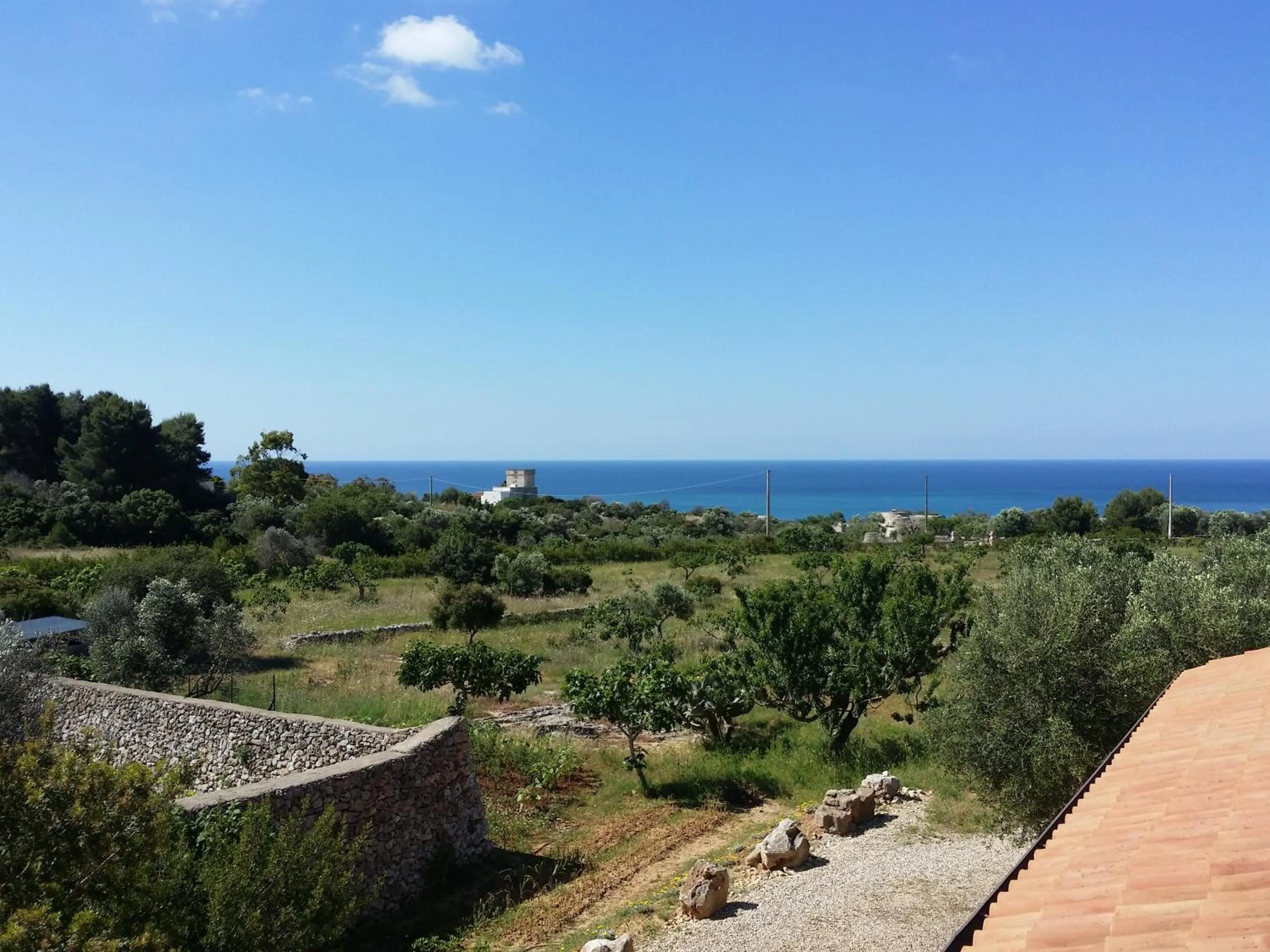 Natural landscape in Antica Masseria Ficazzana - Tenuta