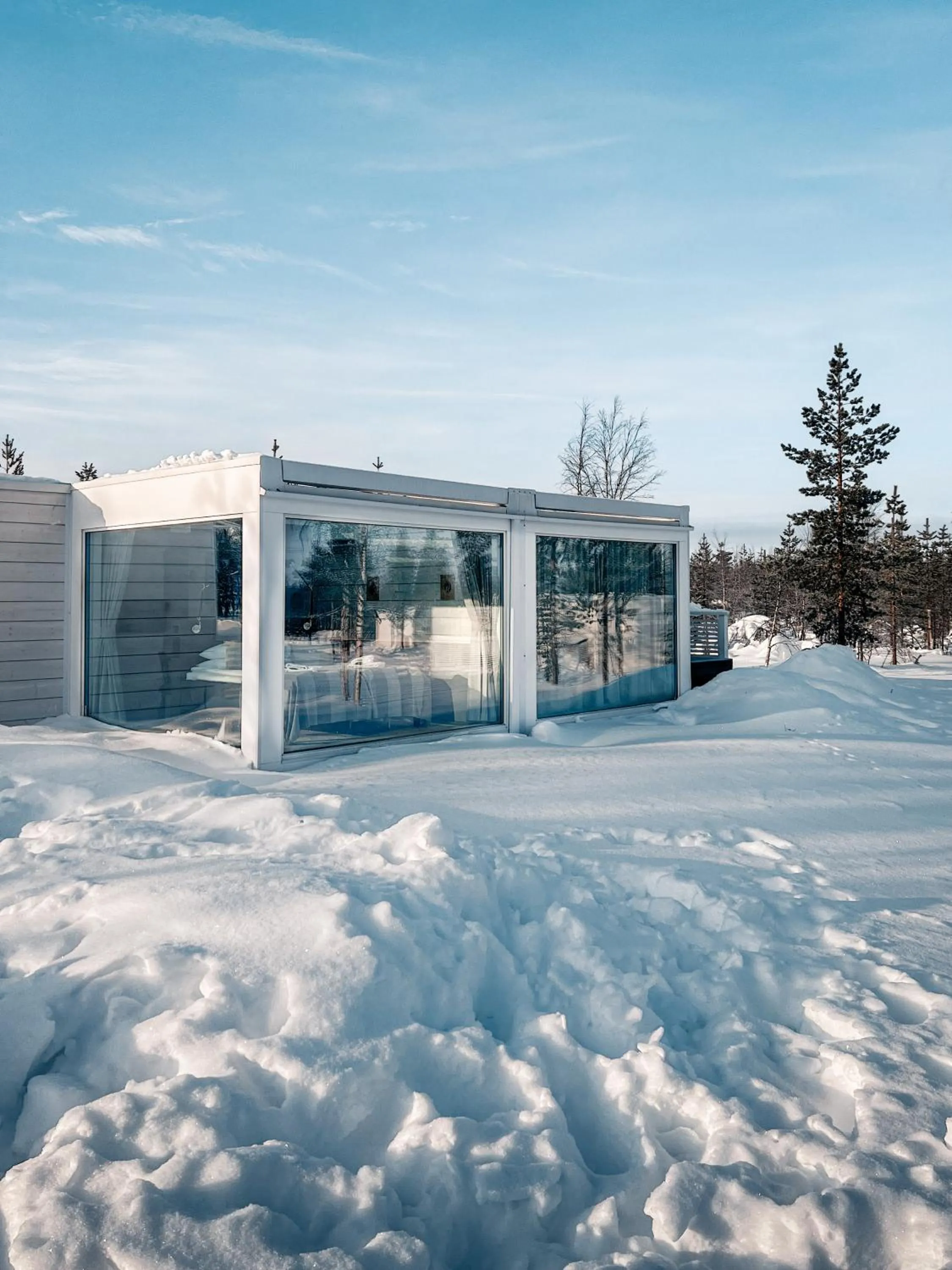 Northern Lights Ranch