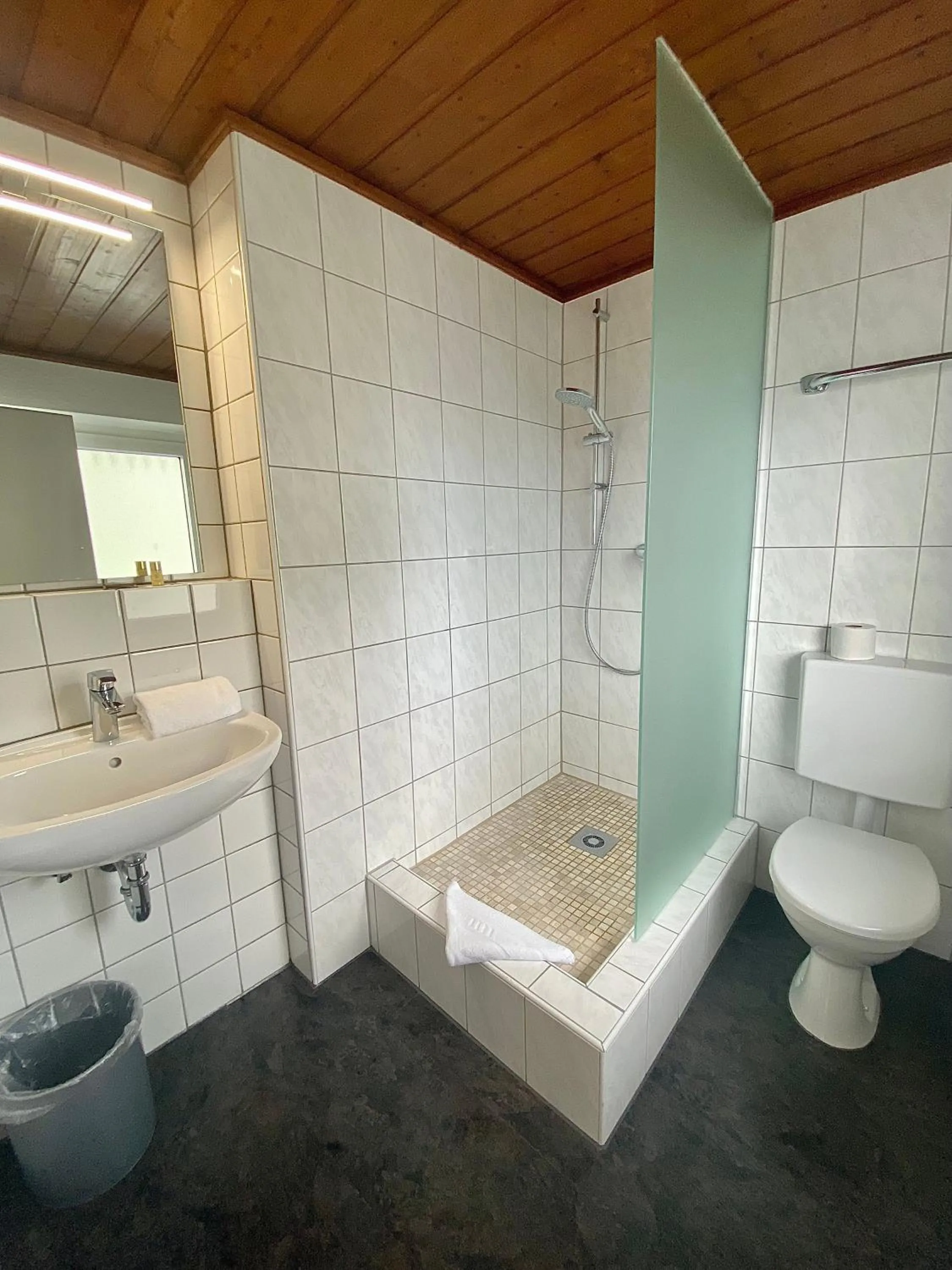 Bathroom in Hotel Gasthof Rose