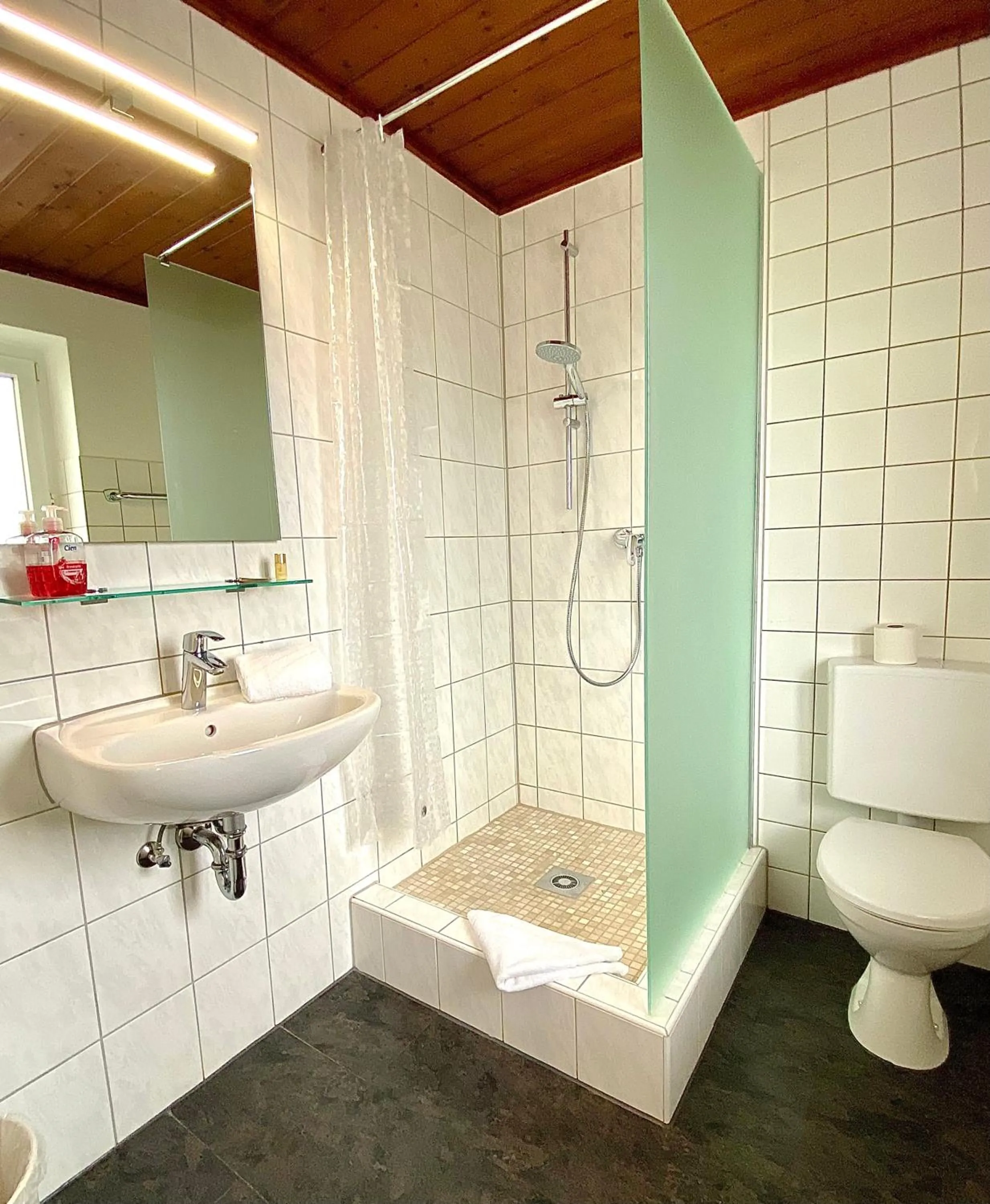 Bathroom in Hotel Gasthof Rose