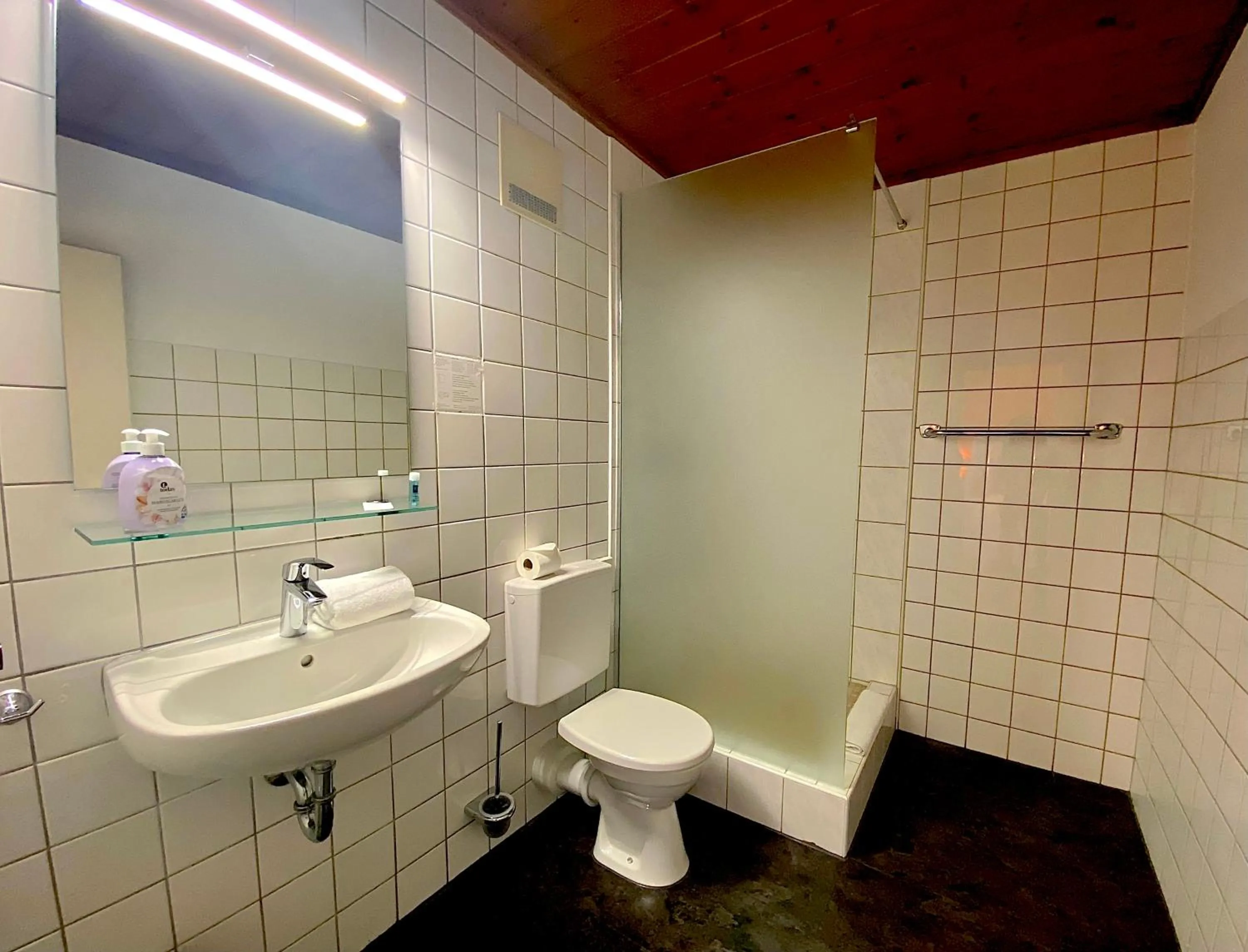 Bathroom in Hotel Gasthof Rose