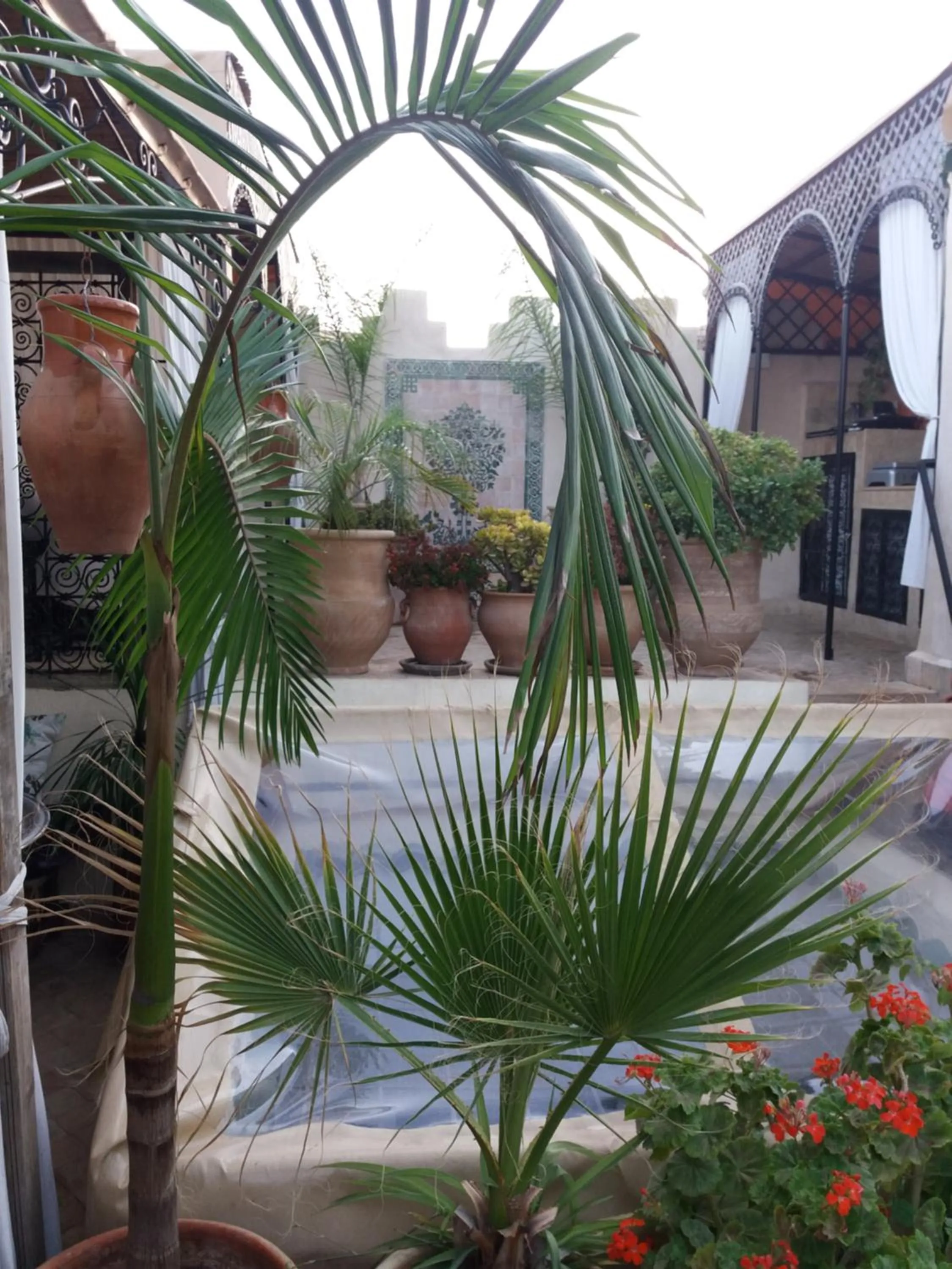 Patio in Riad Dar Arsama