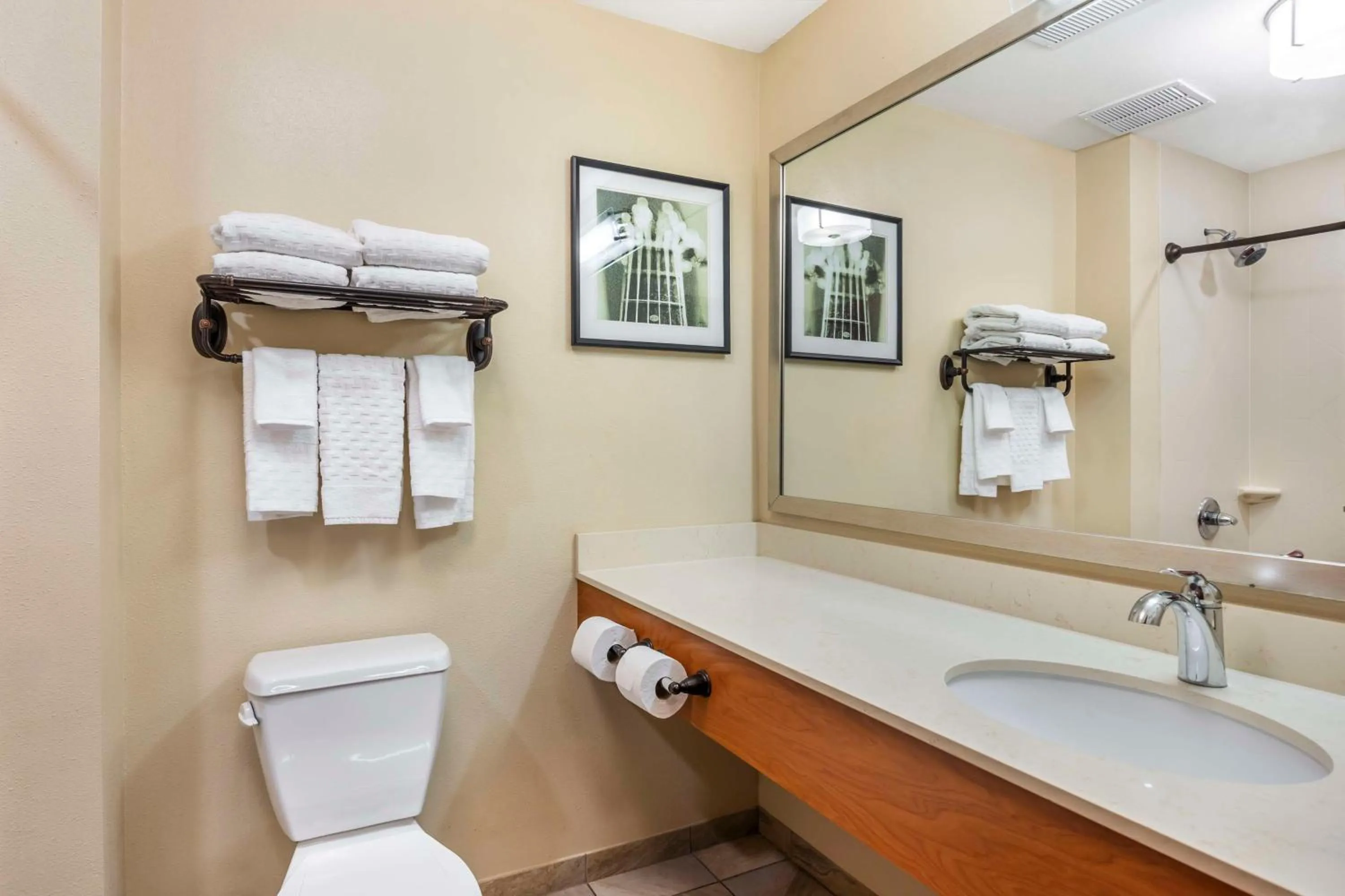 Bathroom in Best Western Plus Tuscumbia/Muscle Shoals Hotel & Suites