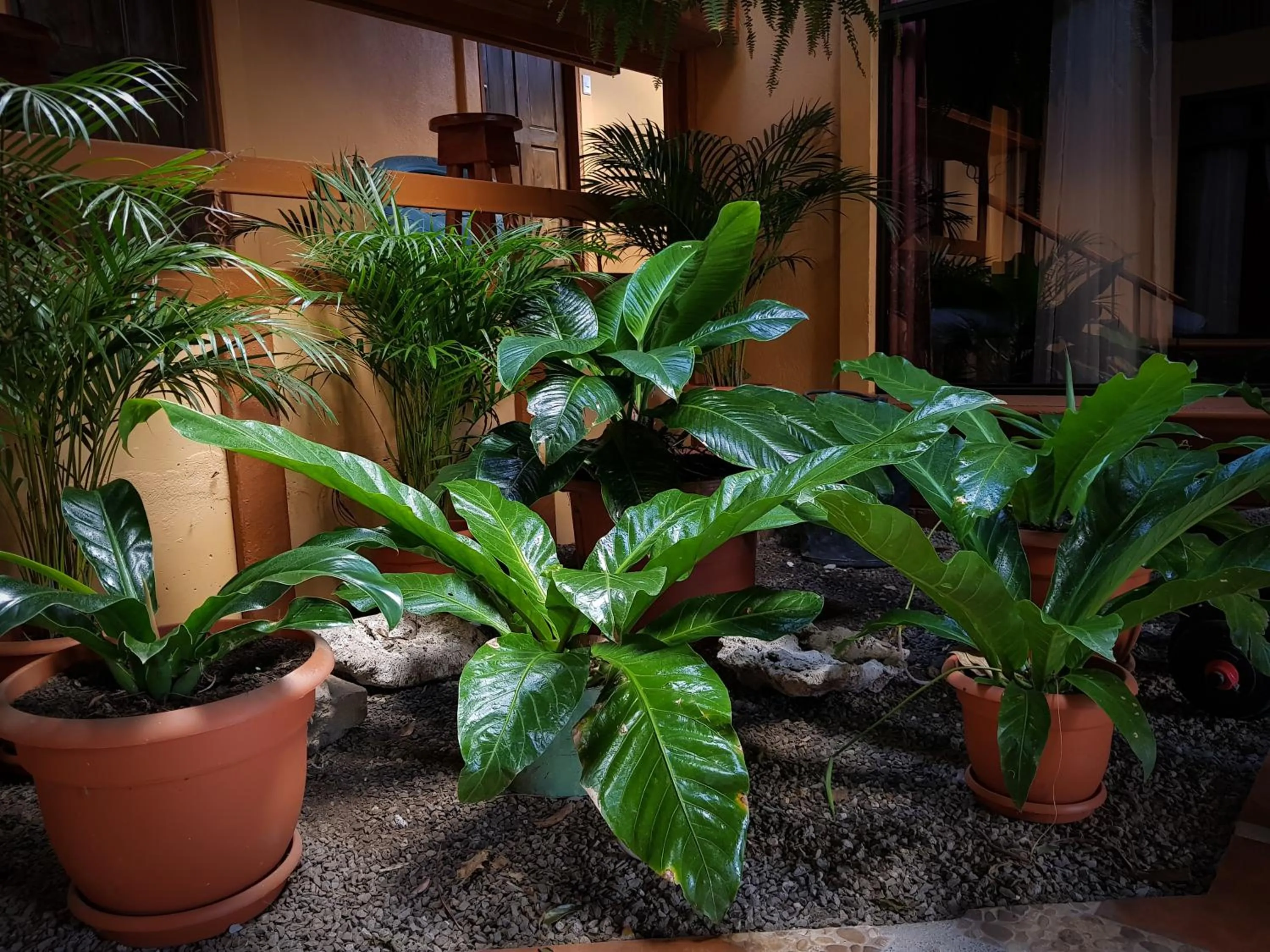 Decorative detail in Greemount Hotel