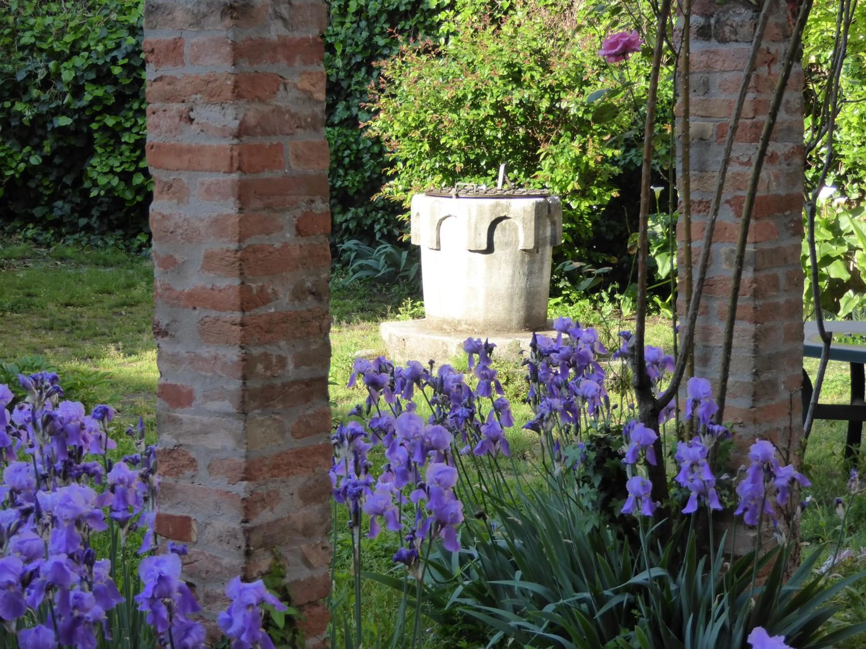 Garden in B&b Vista sul Canal Grande