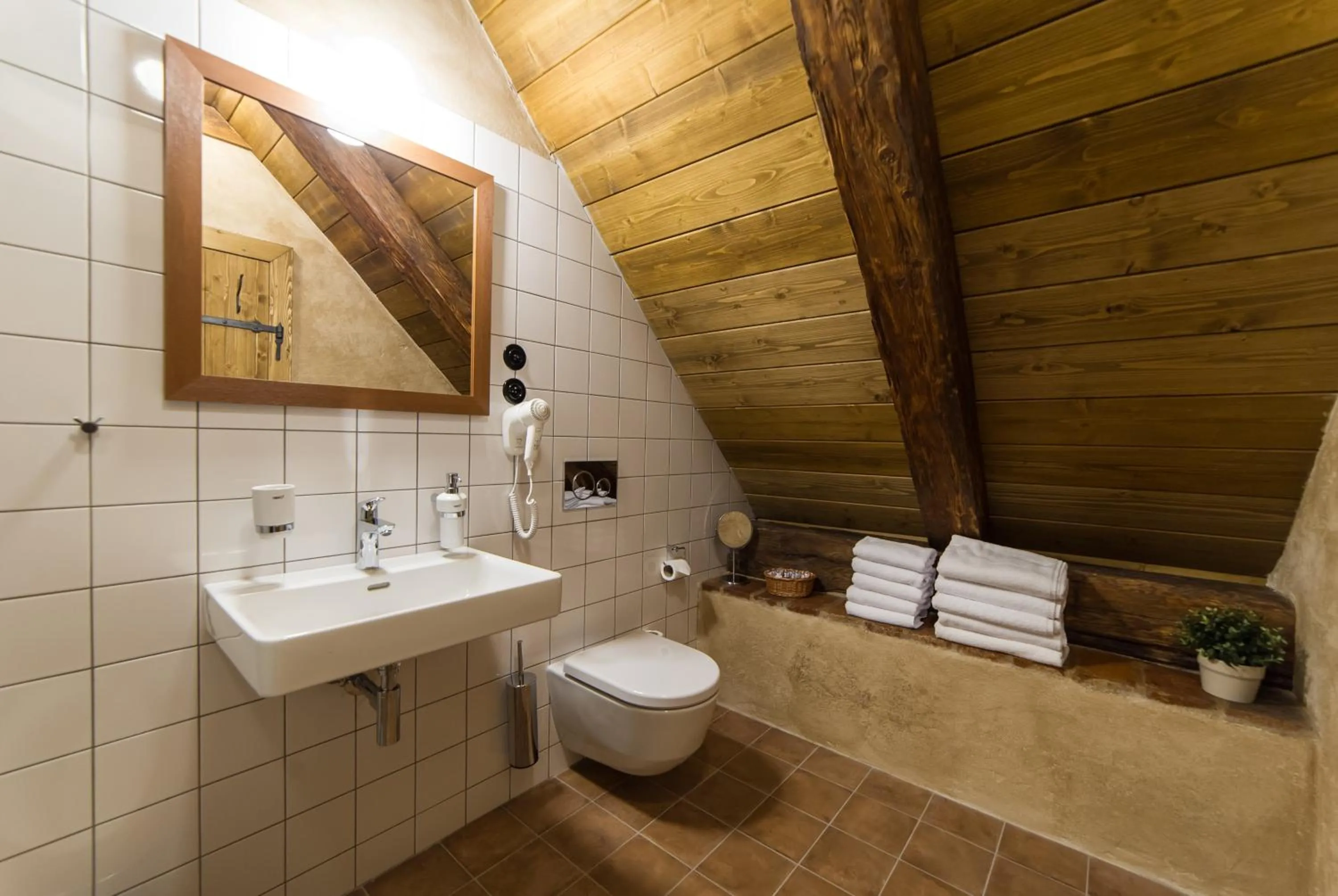 Shower in Aparthotel & Wellness Knížecí cesta