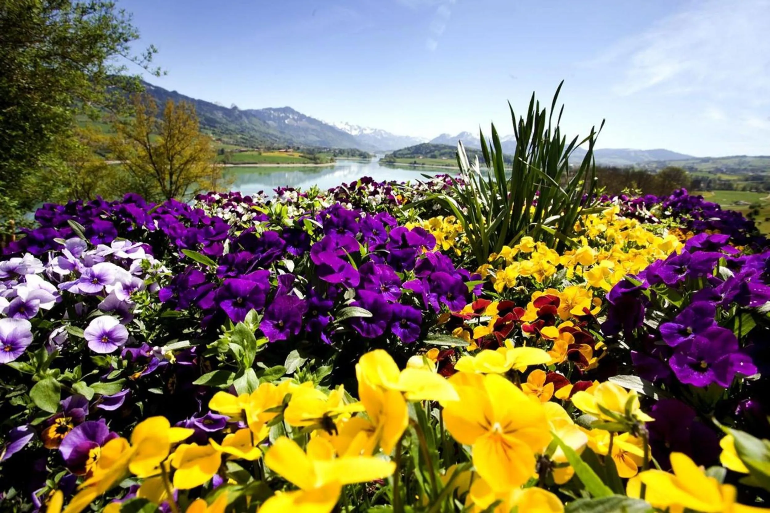 Decorative detail in Romantik Hotel le Vignier