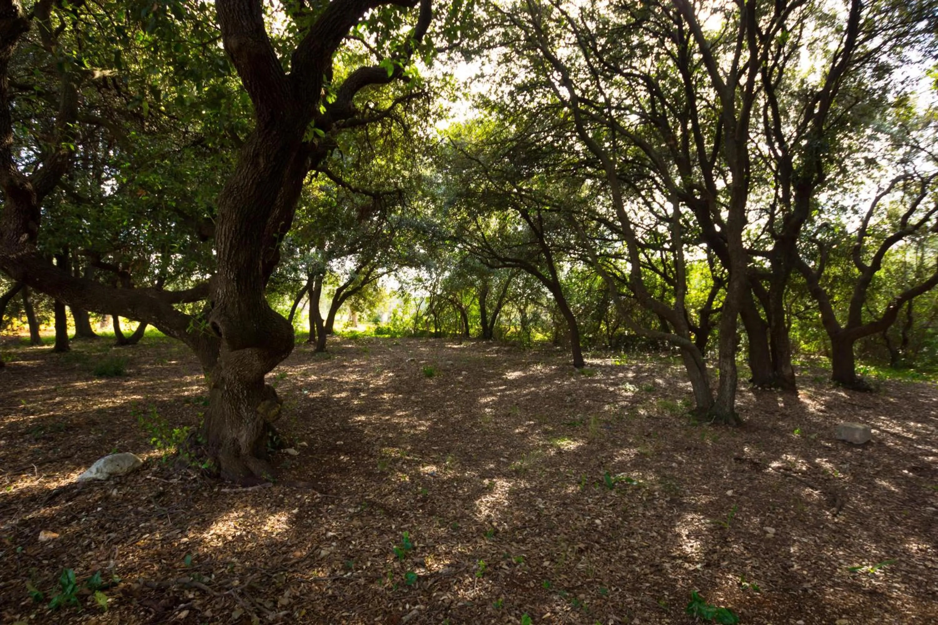 Masseria Poli Country House