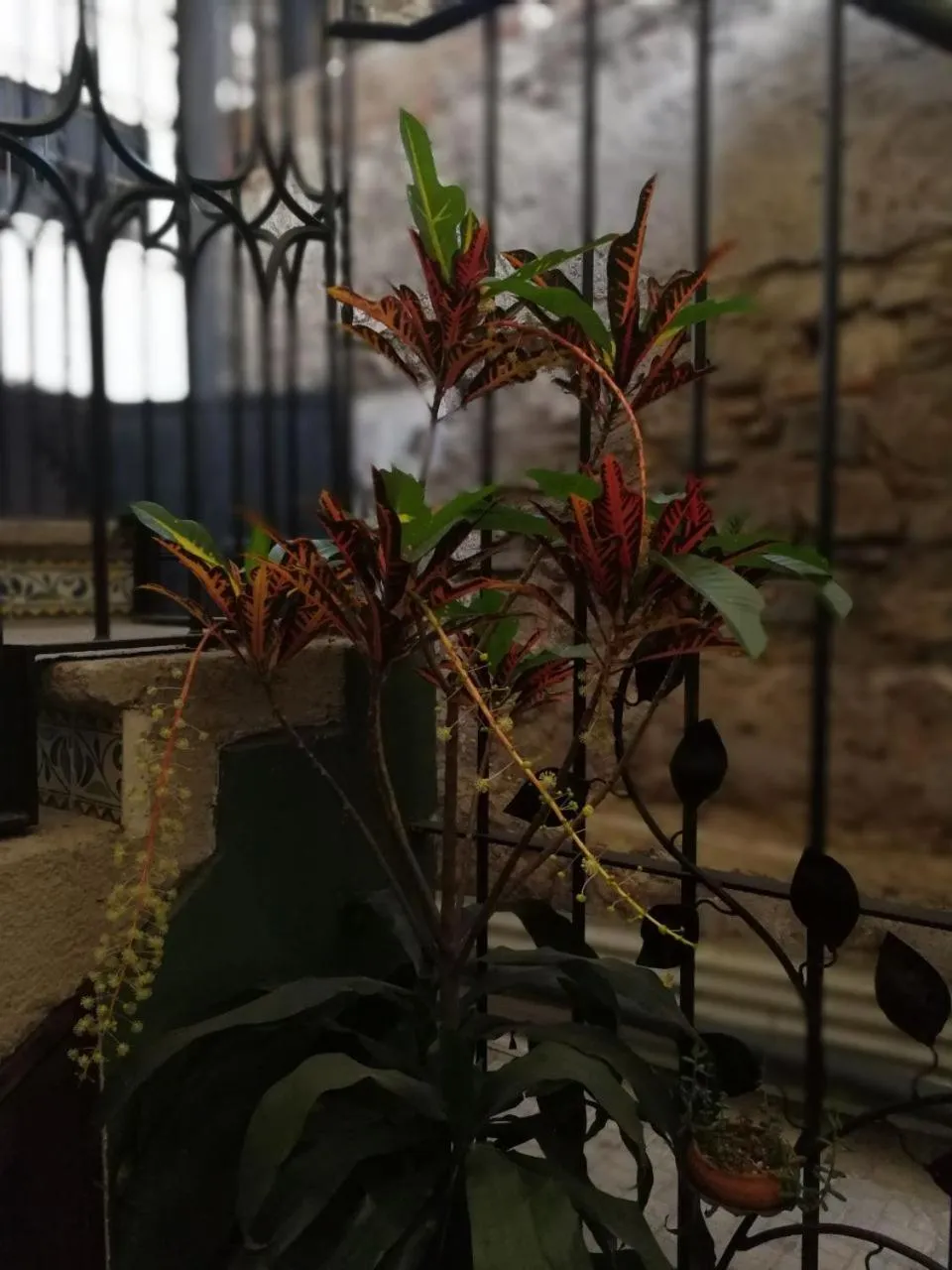 Patio in Posada Doña Luisa