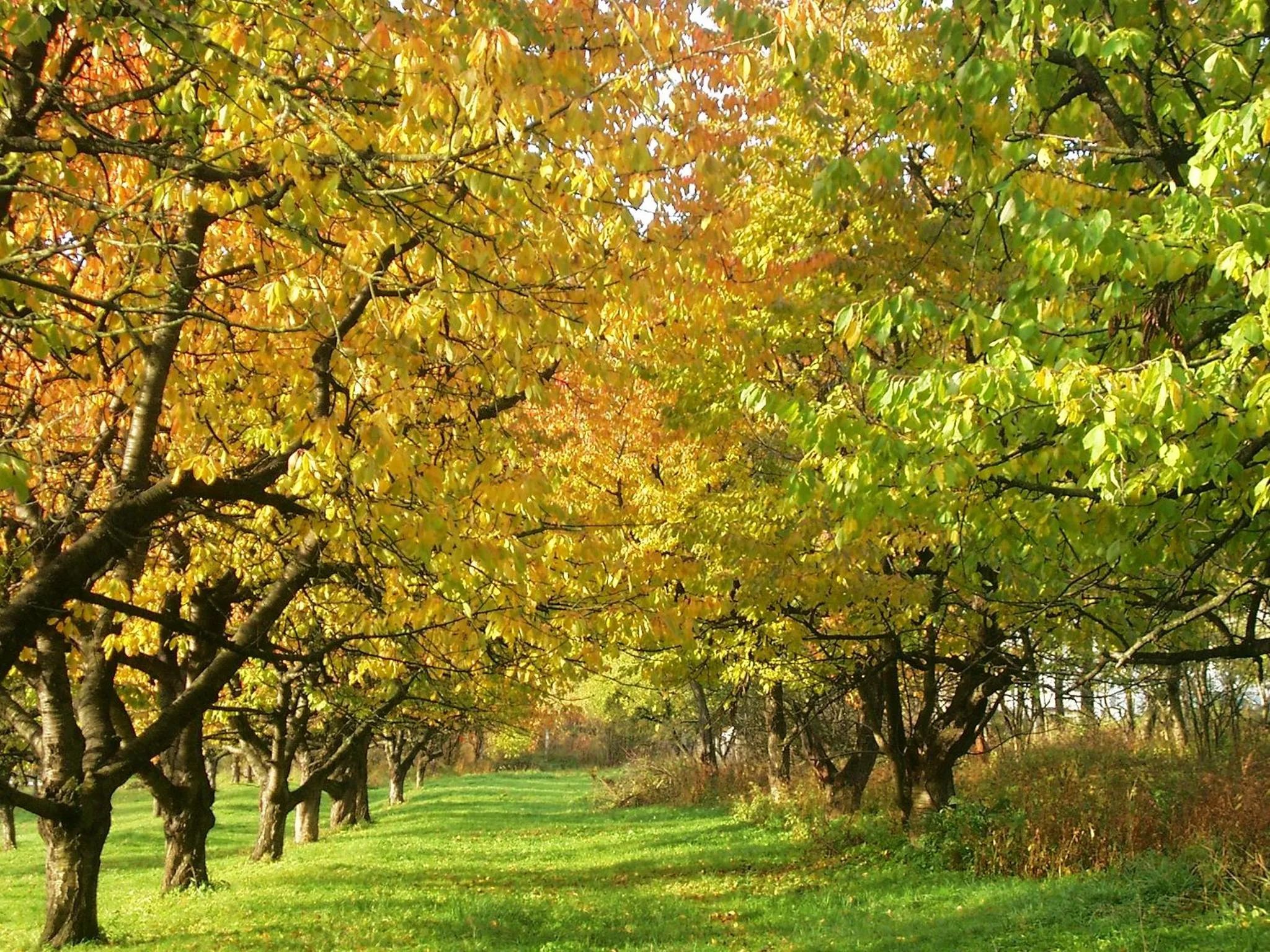Dom Gościnny pod Zamkiem Wleń
