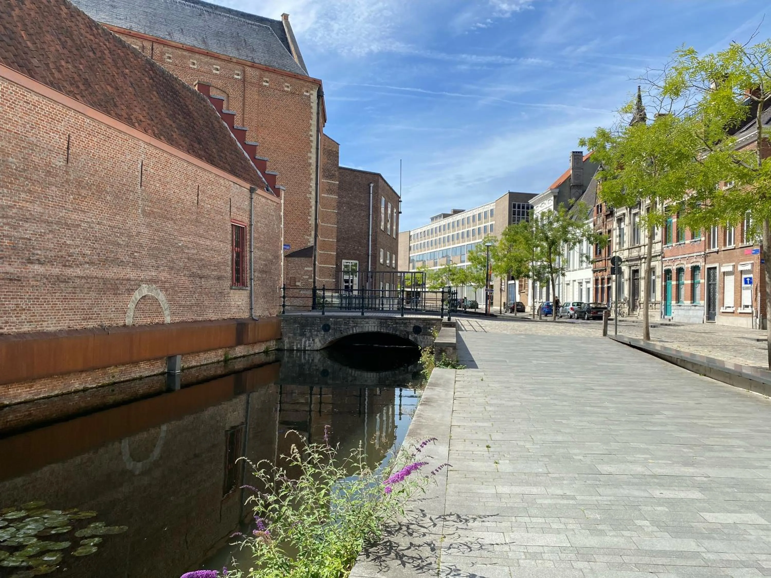 Property building in Lunatree