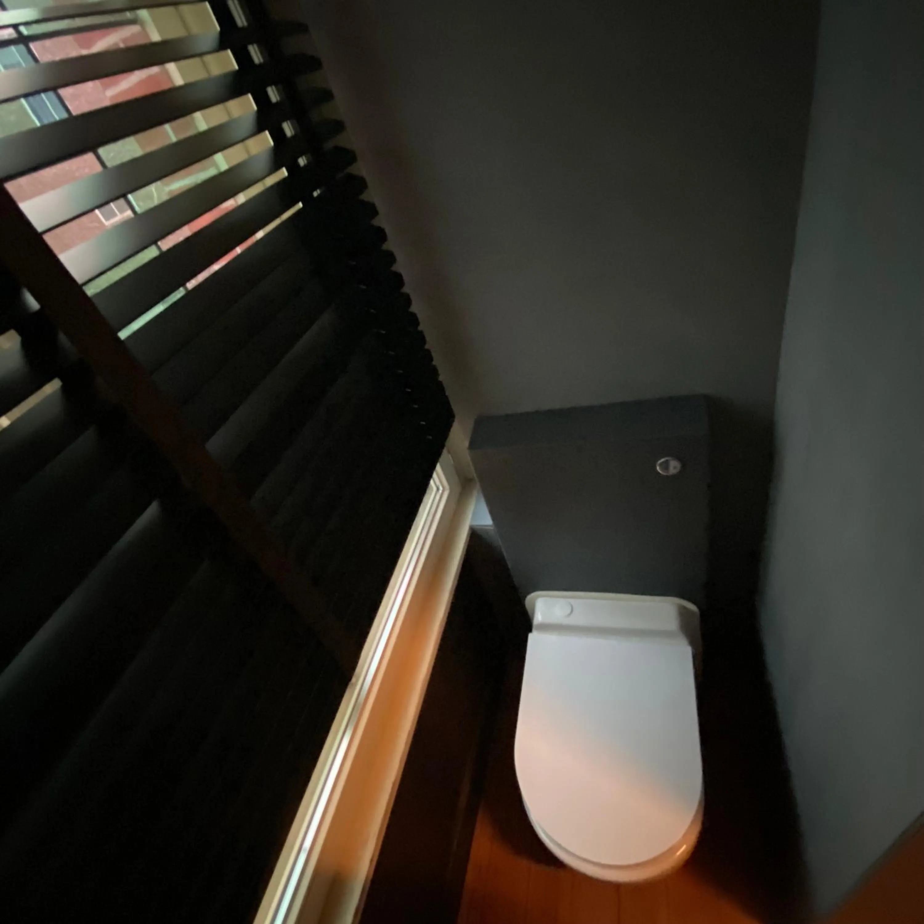 Toilet in Lunatree