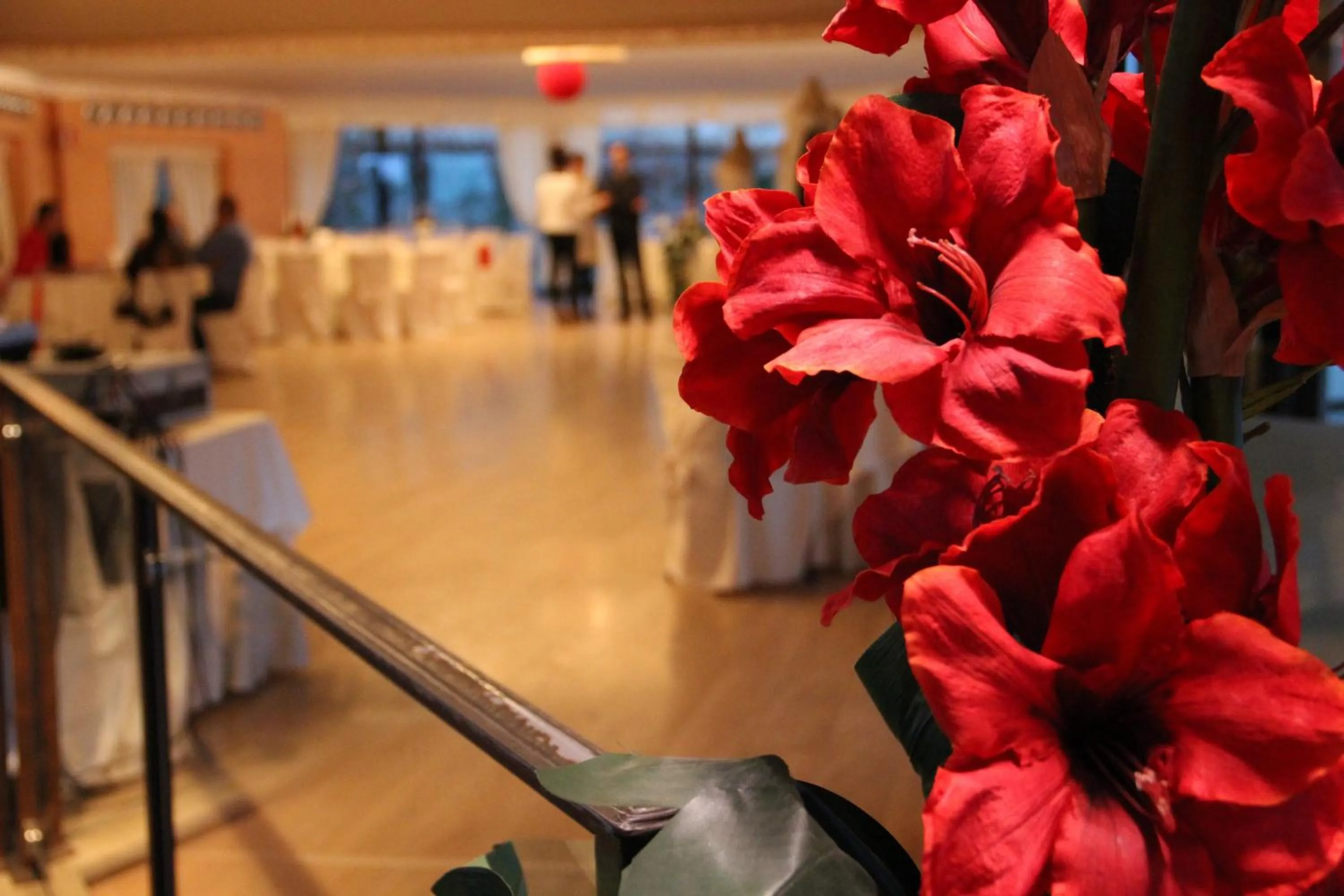 Lounge or bar in Castello Rosso