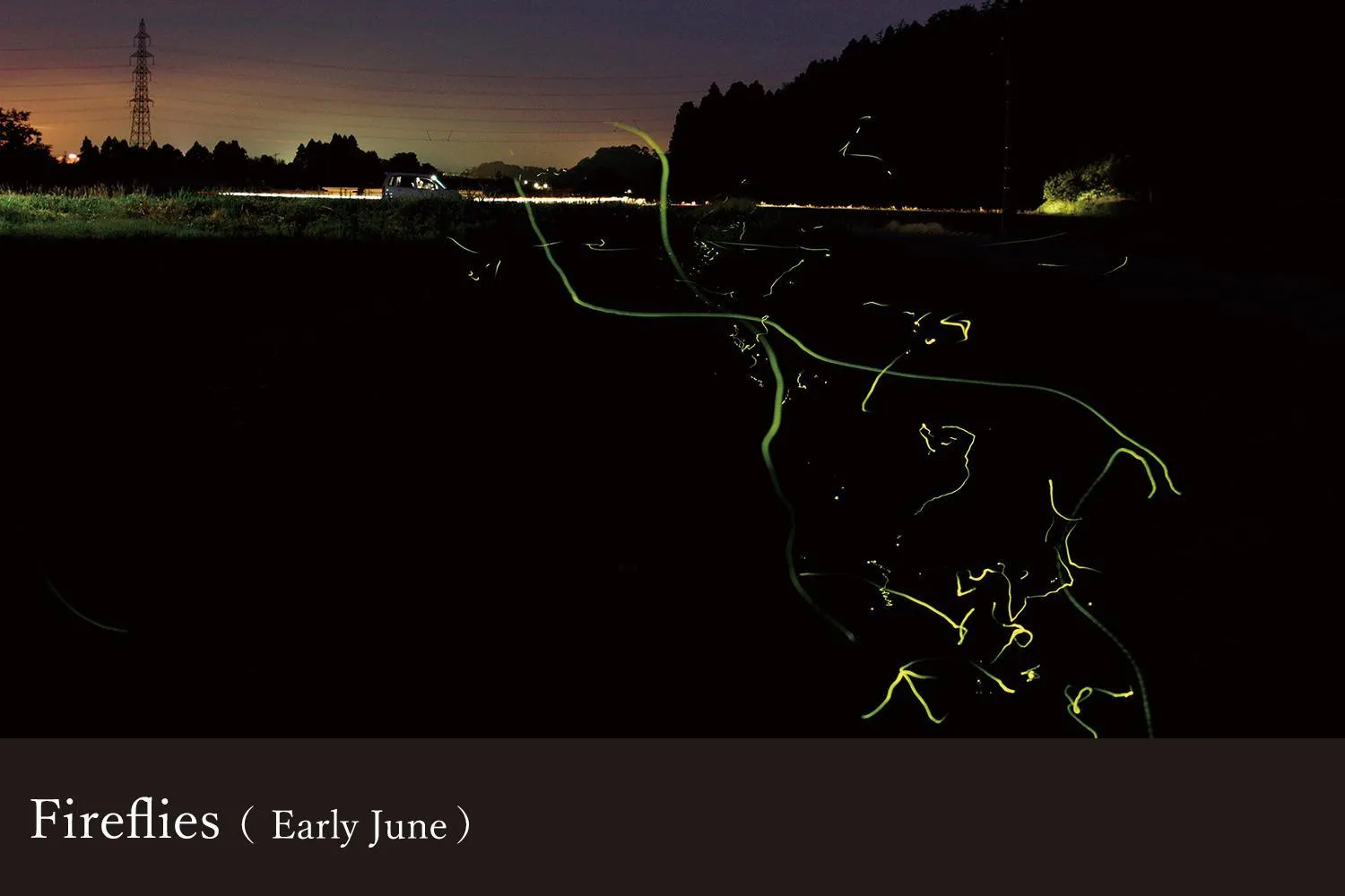 Yamanaka Onsen Kagari Kisshotei