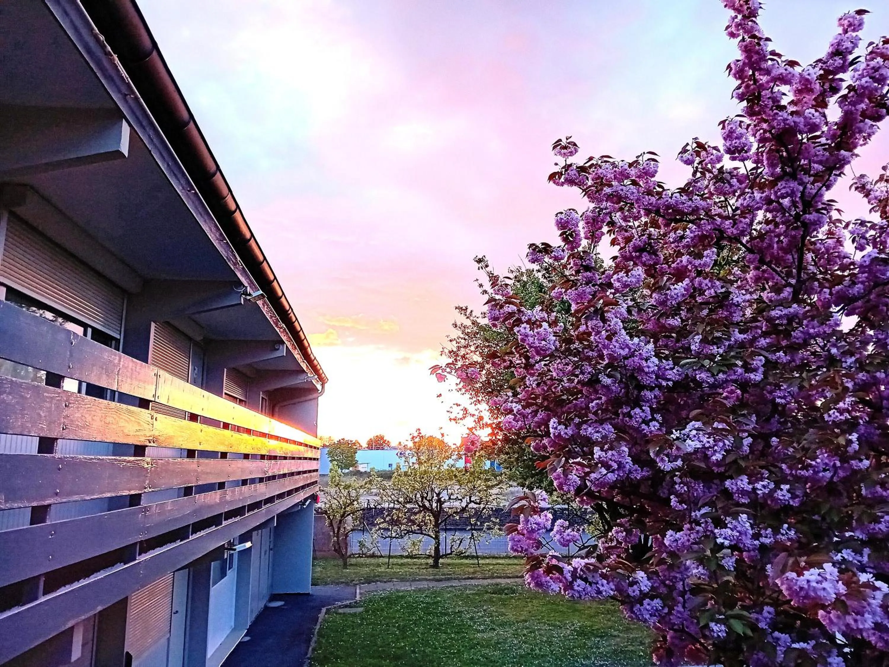 Garden view in Hôtel Inn Design Laval