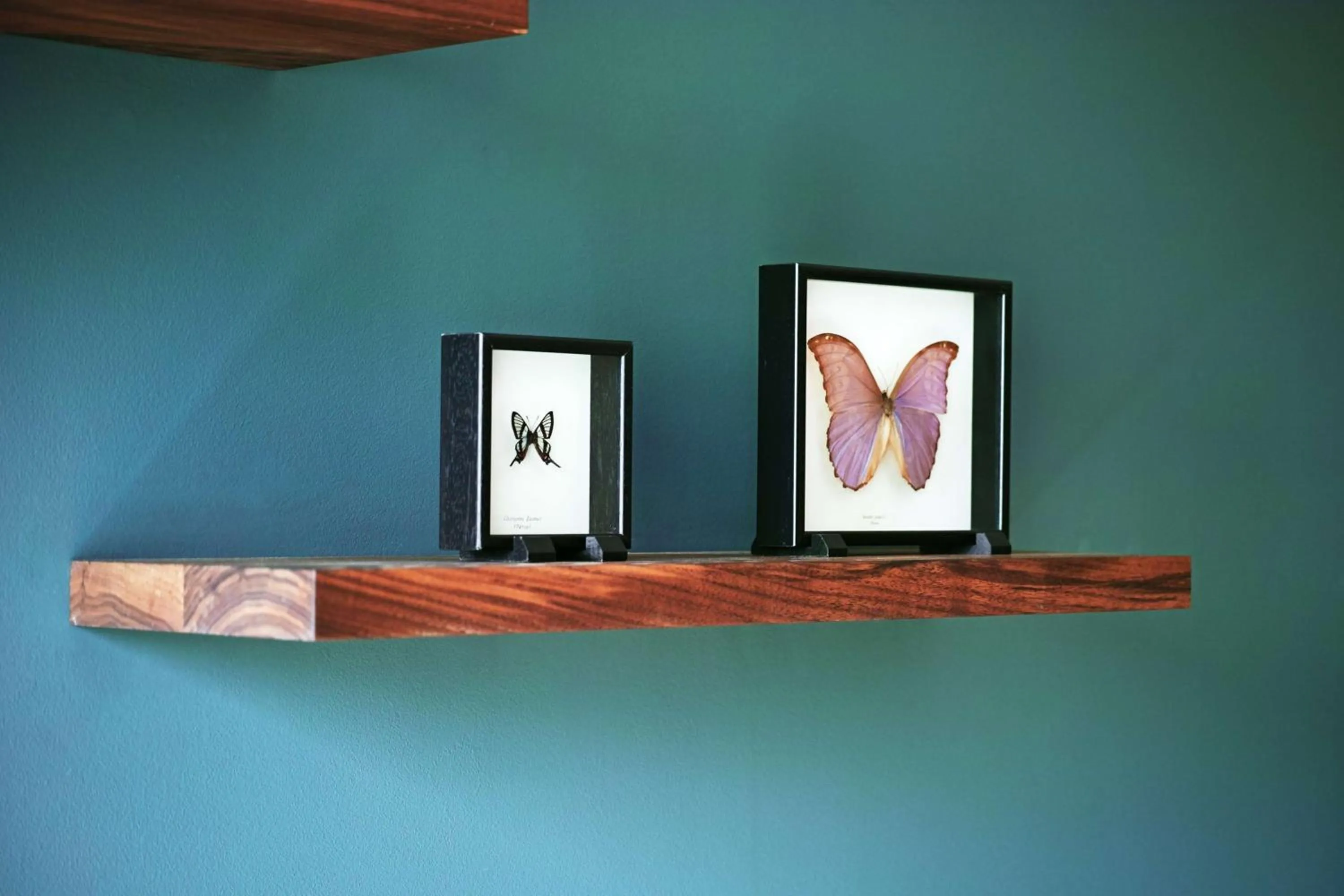 Photo of the whole room in Hyatt Regency Amsterdam