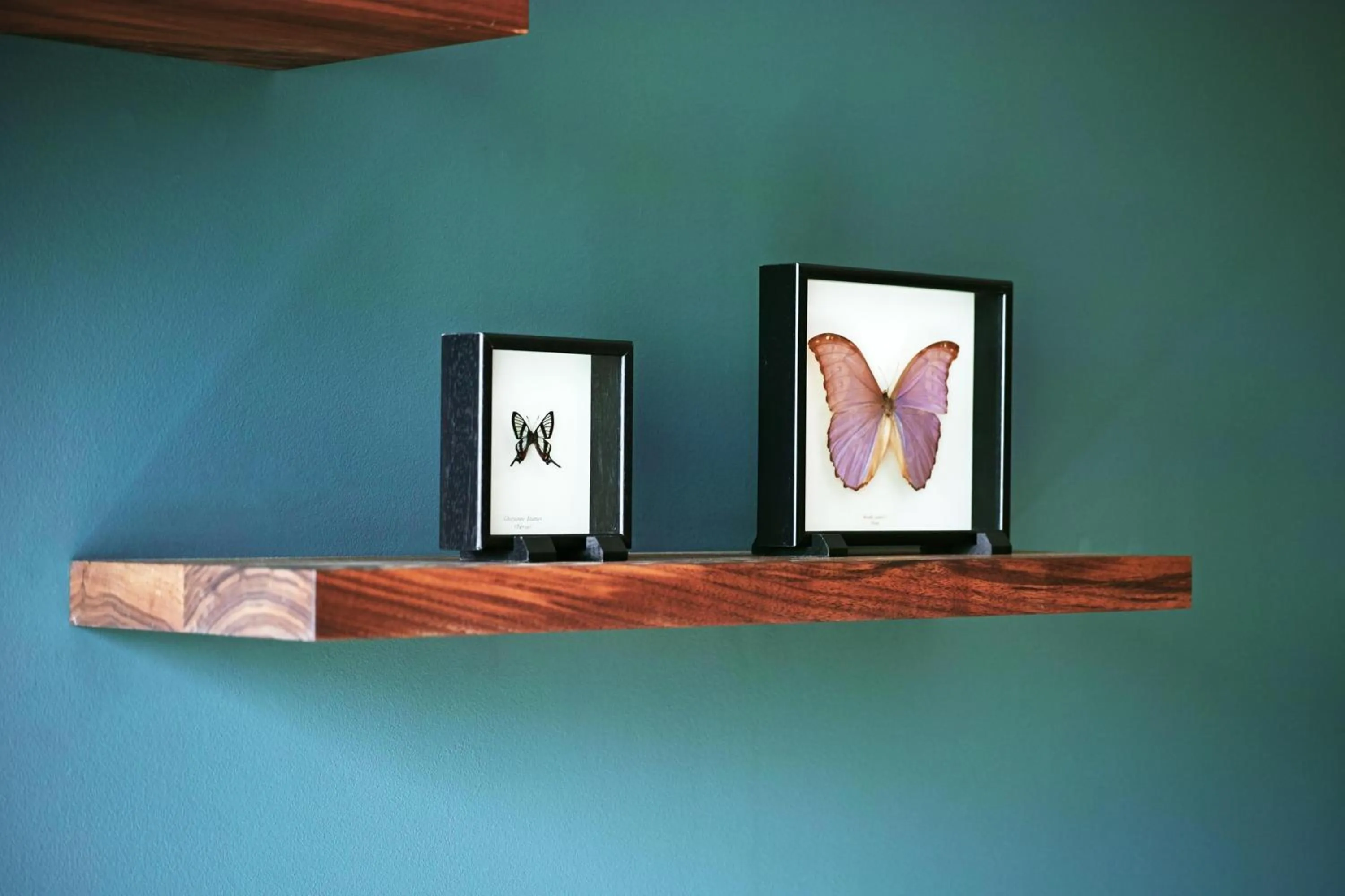 Photo of the whole room in Hyatt Regency Amsterdam