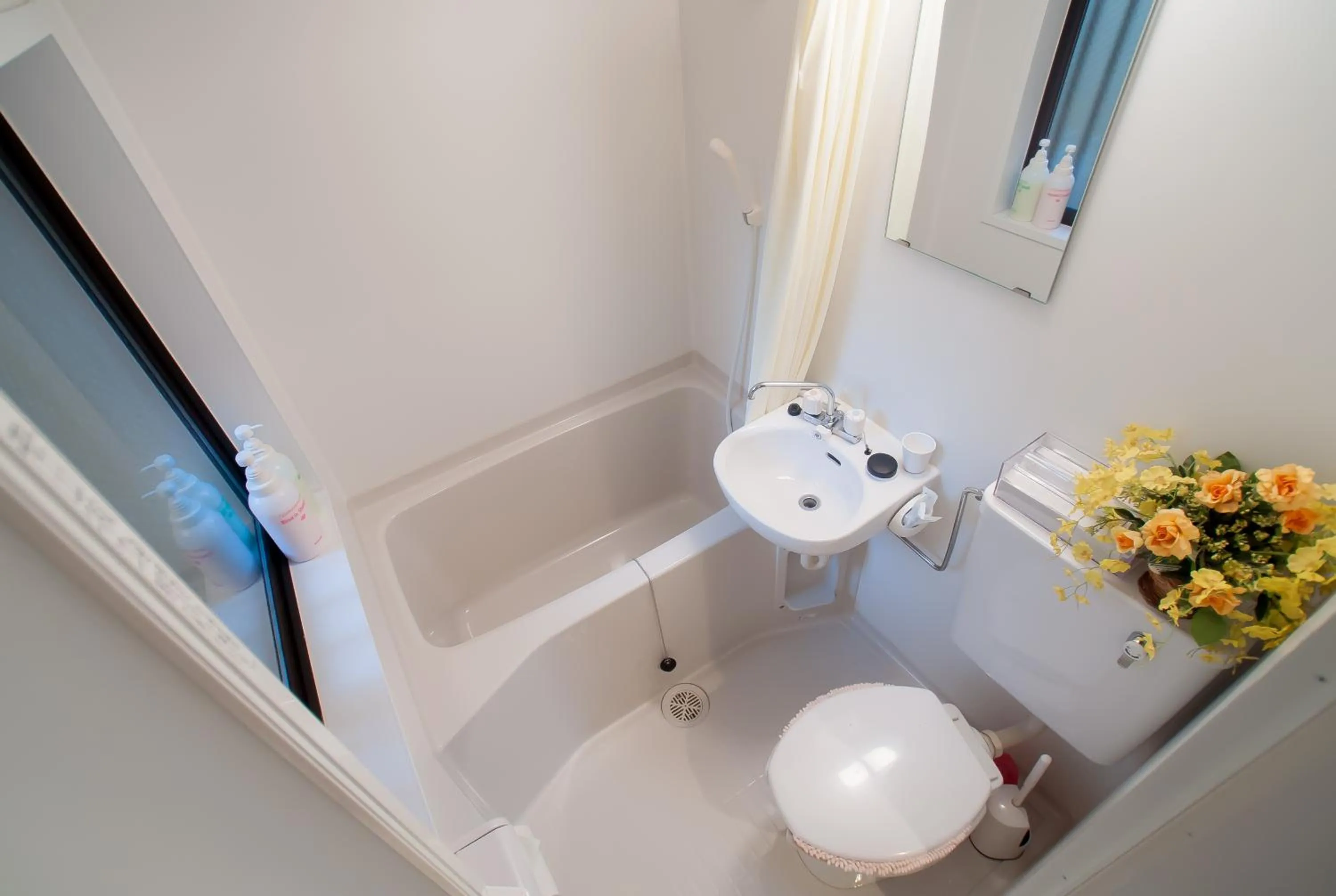 Photo of the whole room in Ryokan Niko