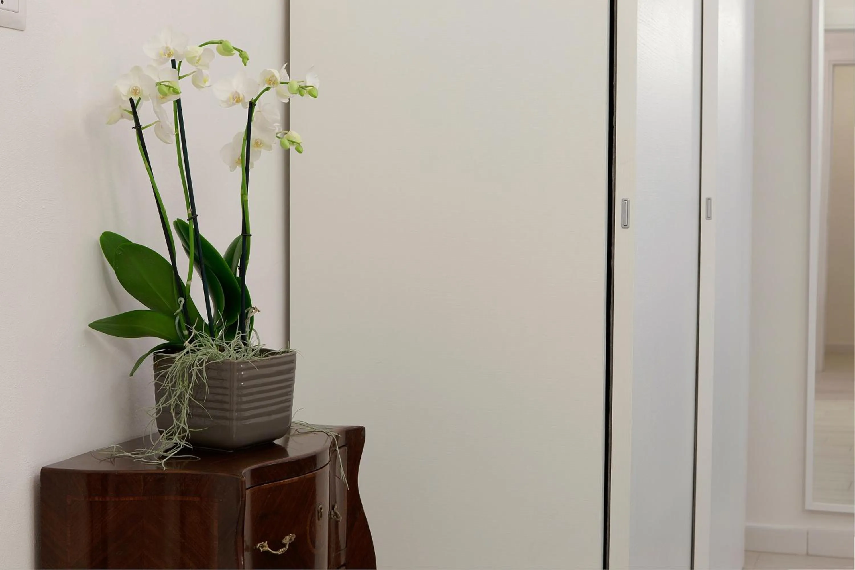 Decorative detail in Windows On Florence