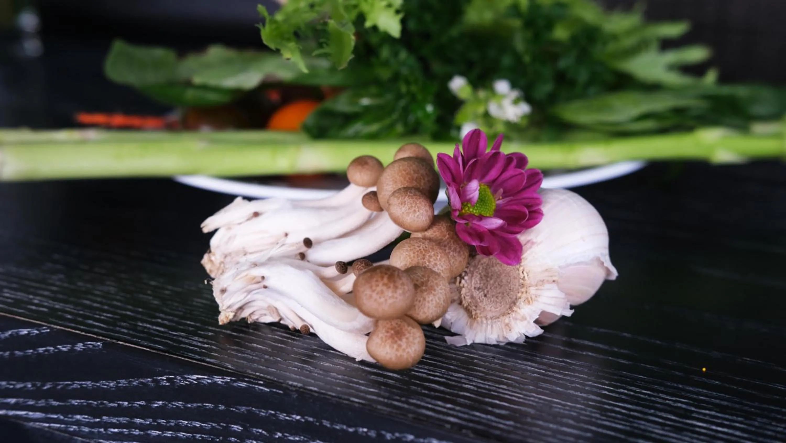 The Bloom Classic - An Excellent Blend of Cozy Living and Urban Relaxation