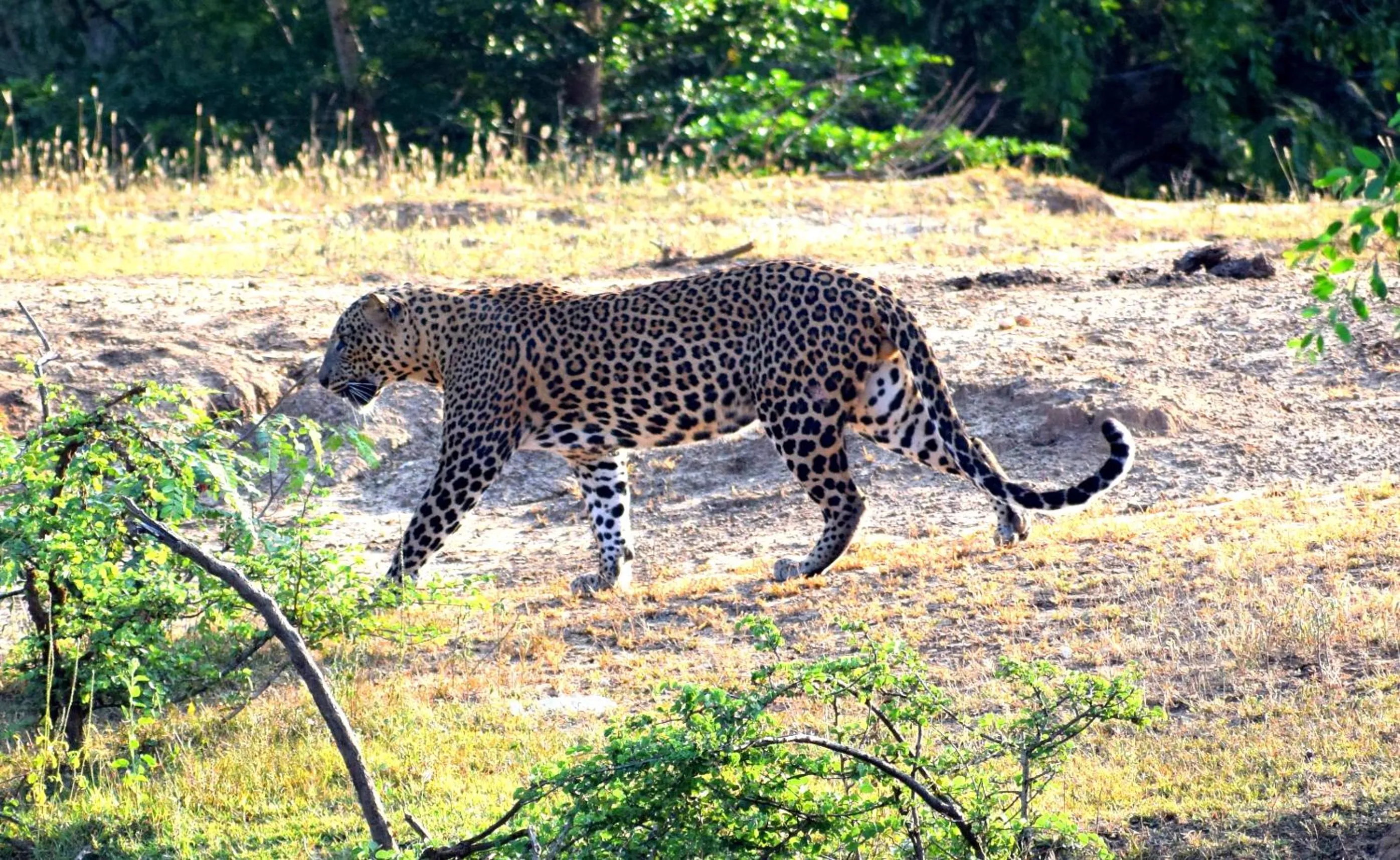 Activities in LakeSide Cabana Tissamaharama