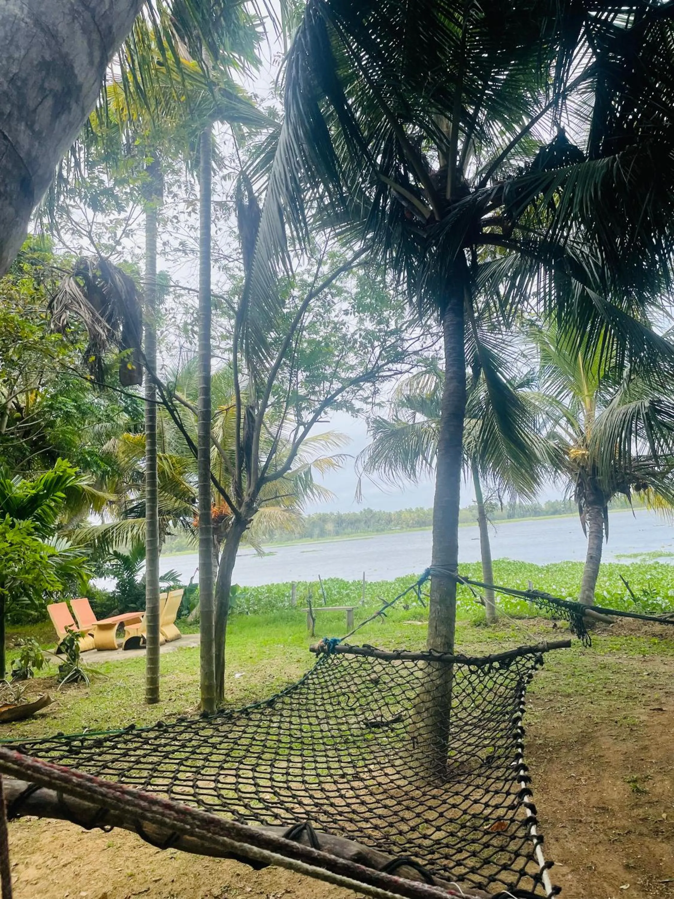 Garden in LakeSide Cabana Tissamaharama