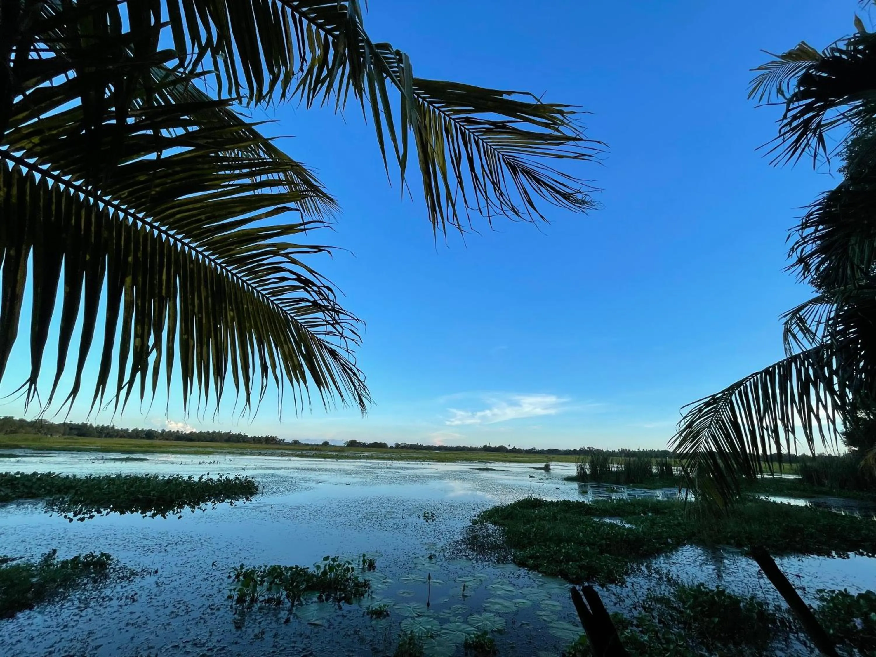 Garden in LakeSide Cabana Tissamaharama