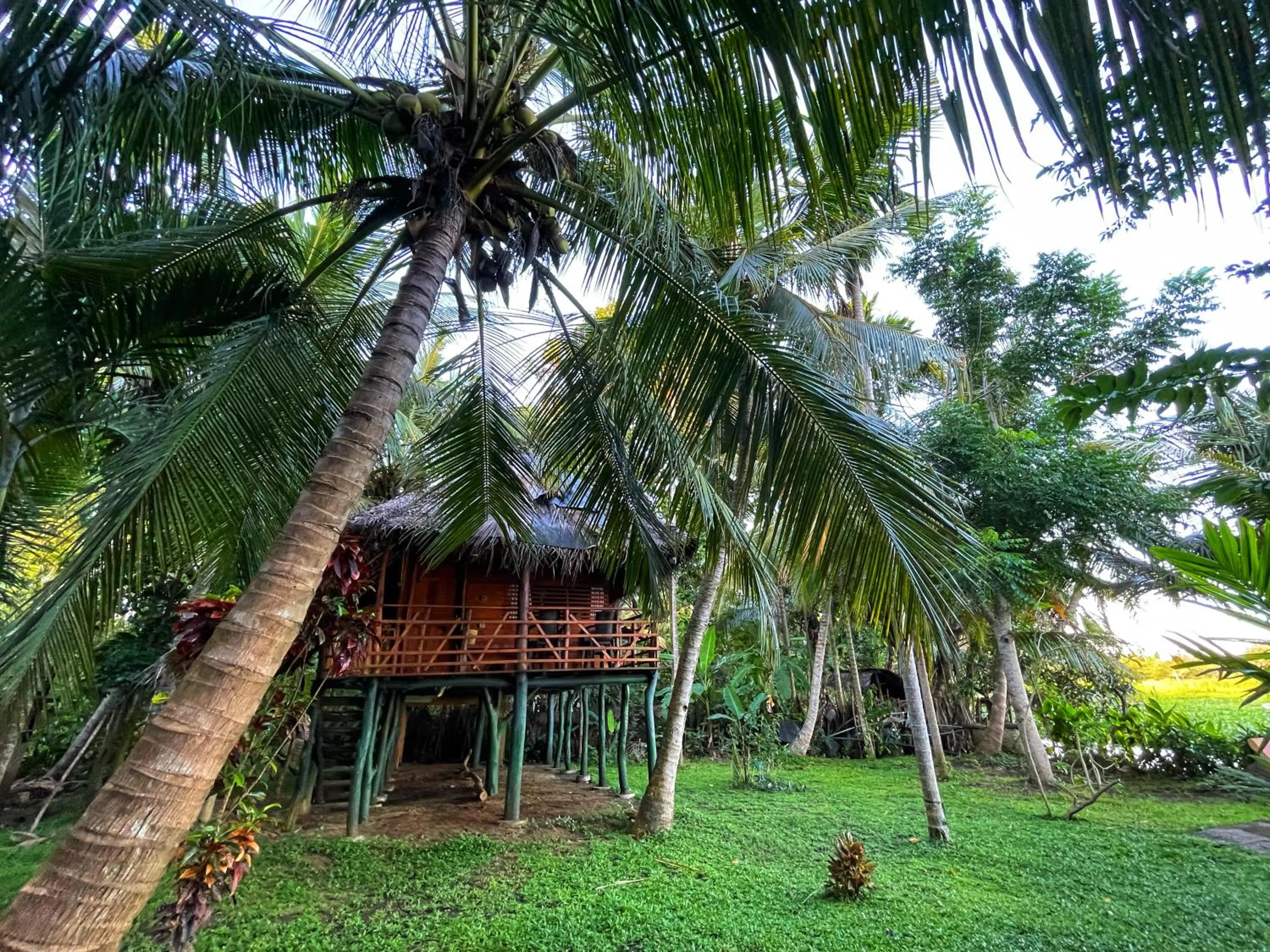 Property building in LakeSide Cabana Tissamaharama