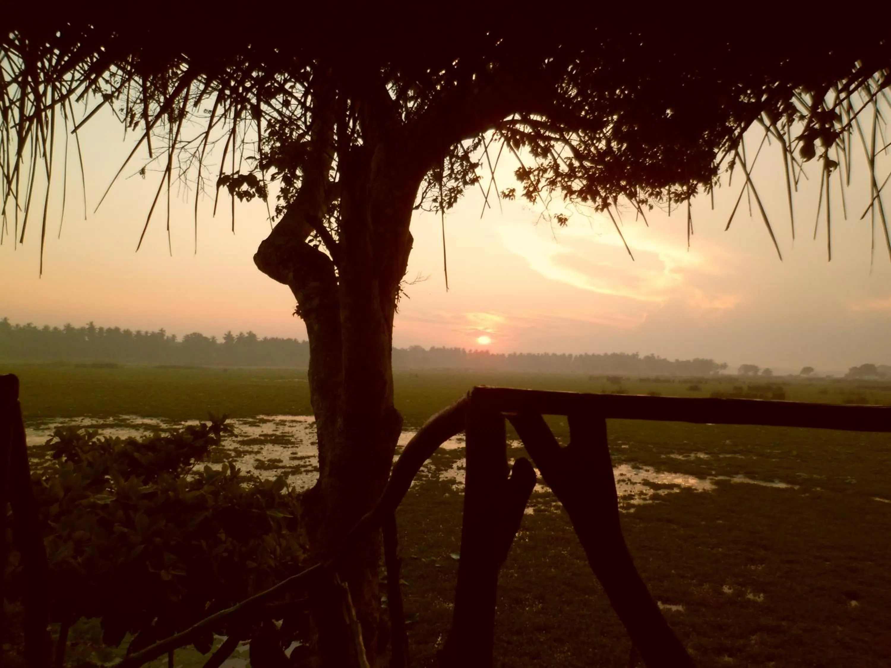 View (from property/room) in LakeSide Cabana Tissamaharama