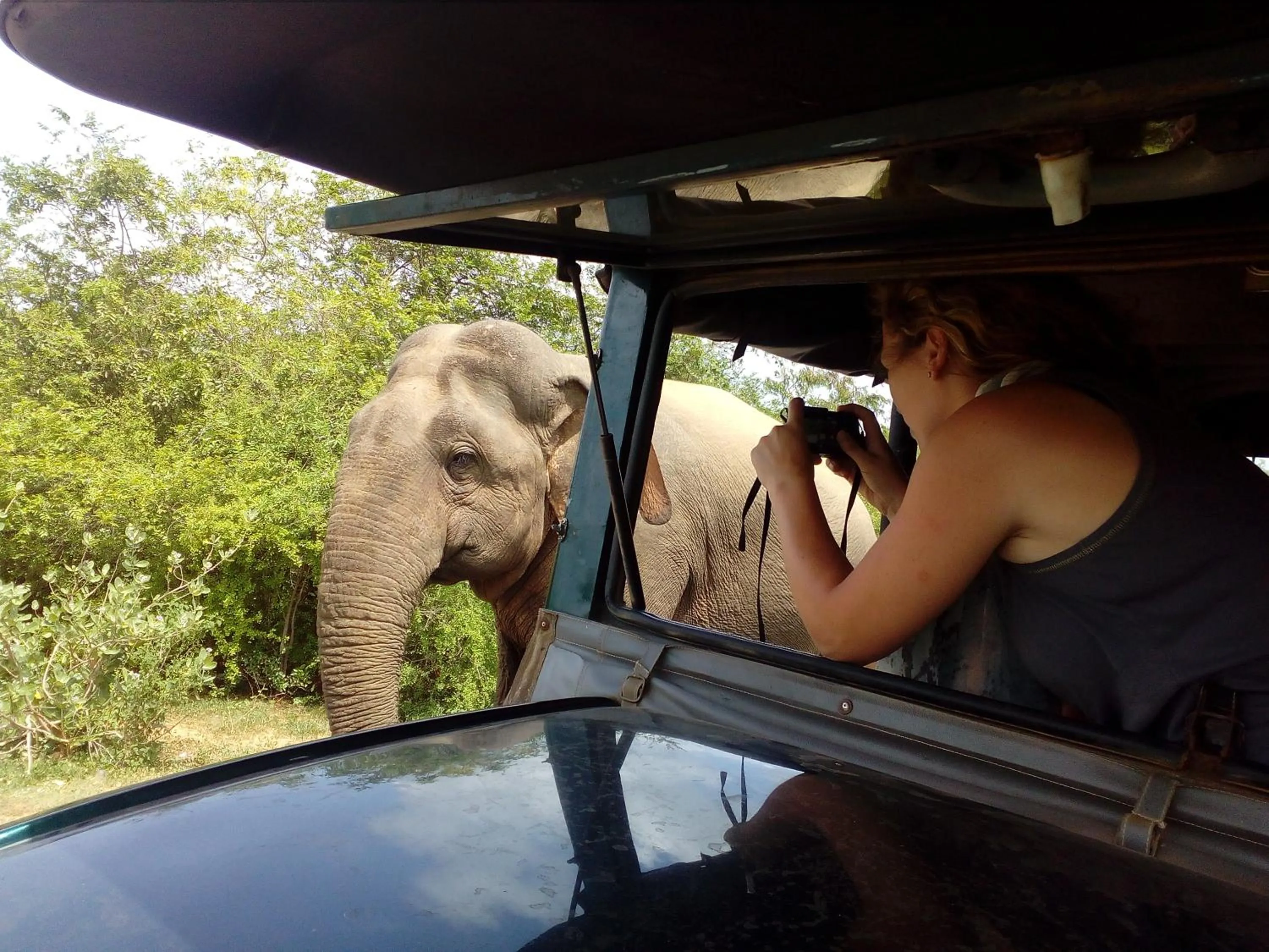 Activities in LakeSide Cabana Tissamaharama