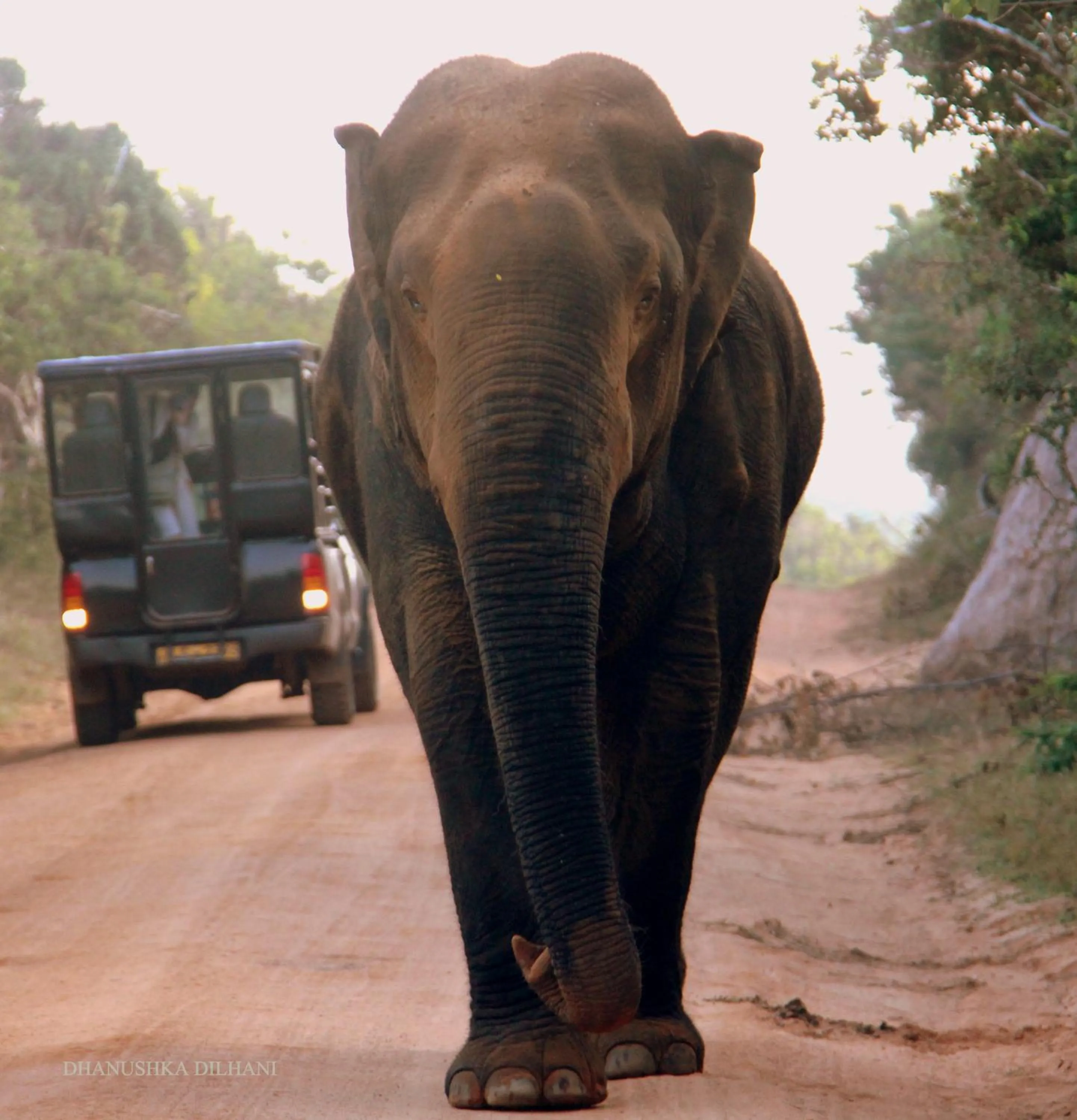 Location in LakeSide Cabana Tissamaharama