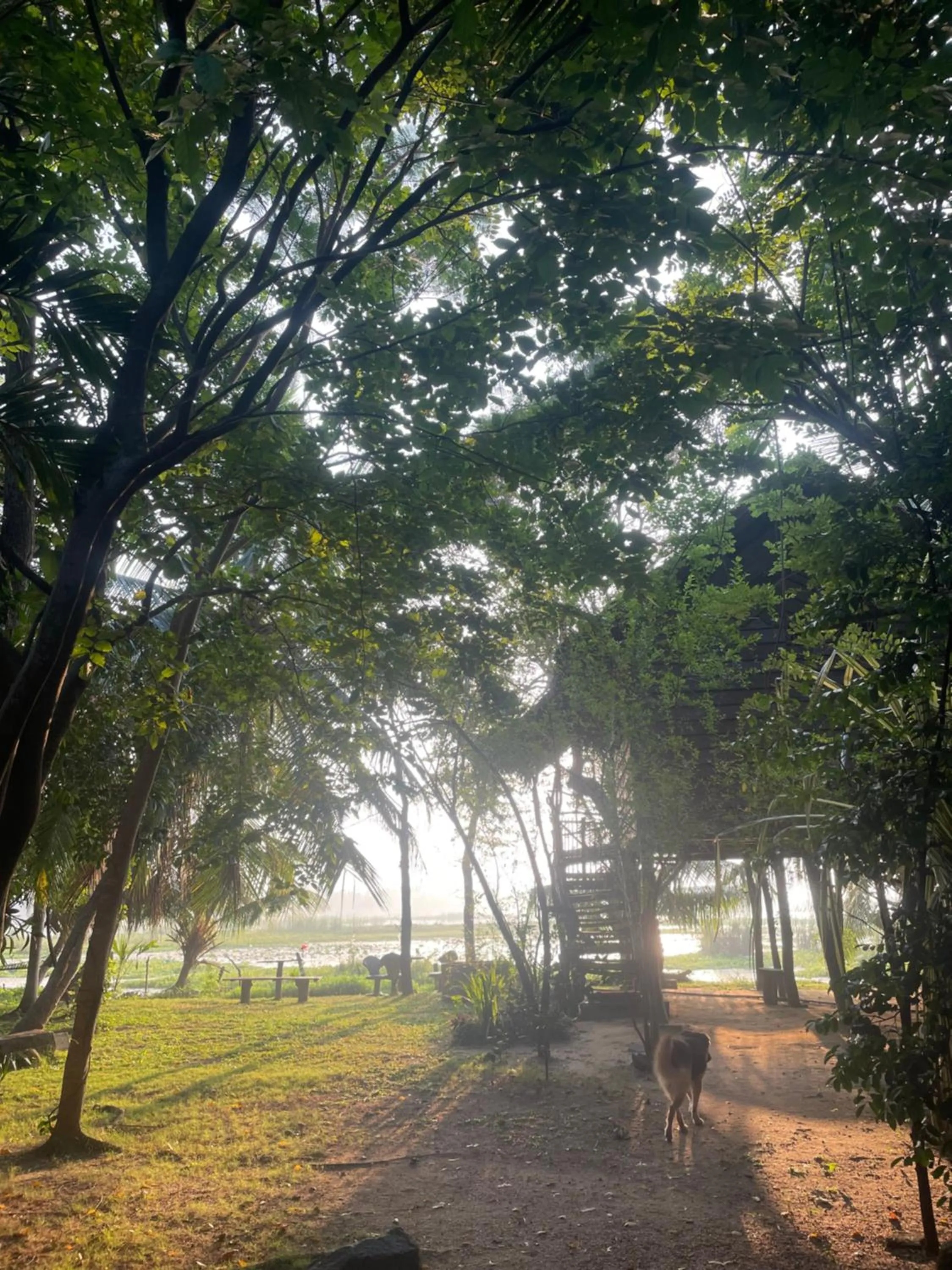 Property building in LakeSide Cabana Tissamaharama