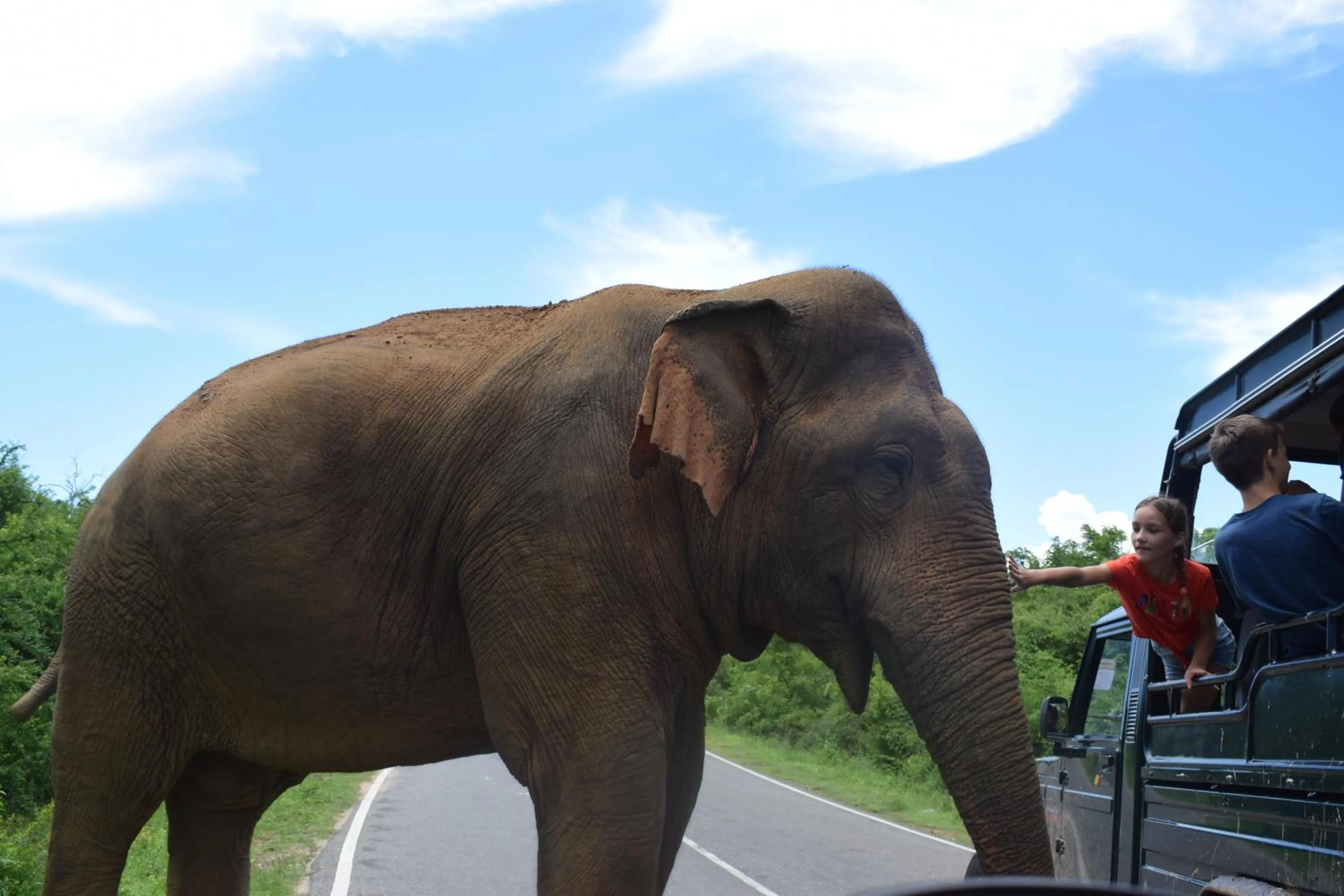 Activities in LakeSide Cabana Tissamaharama