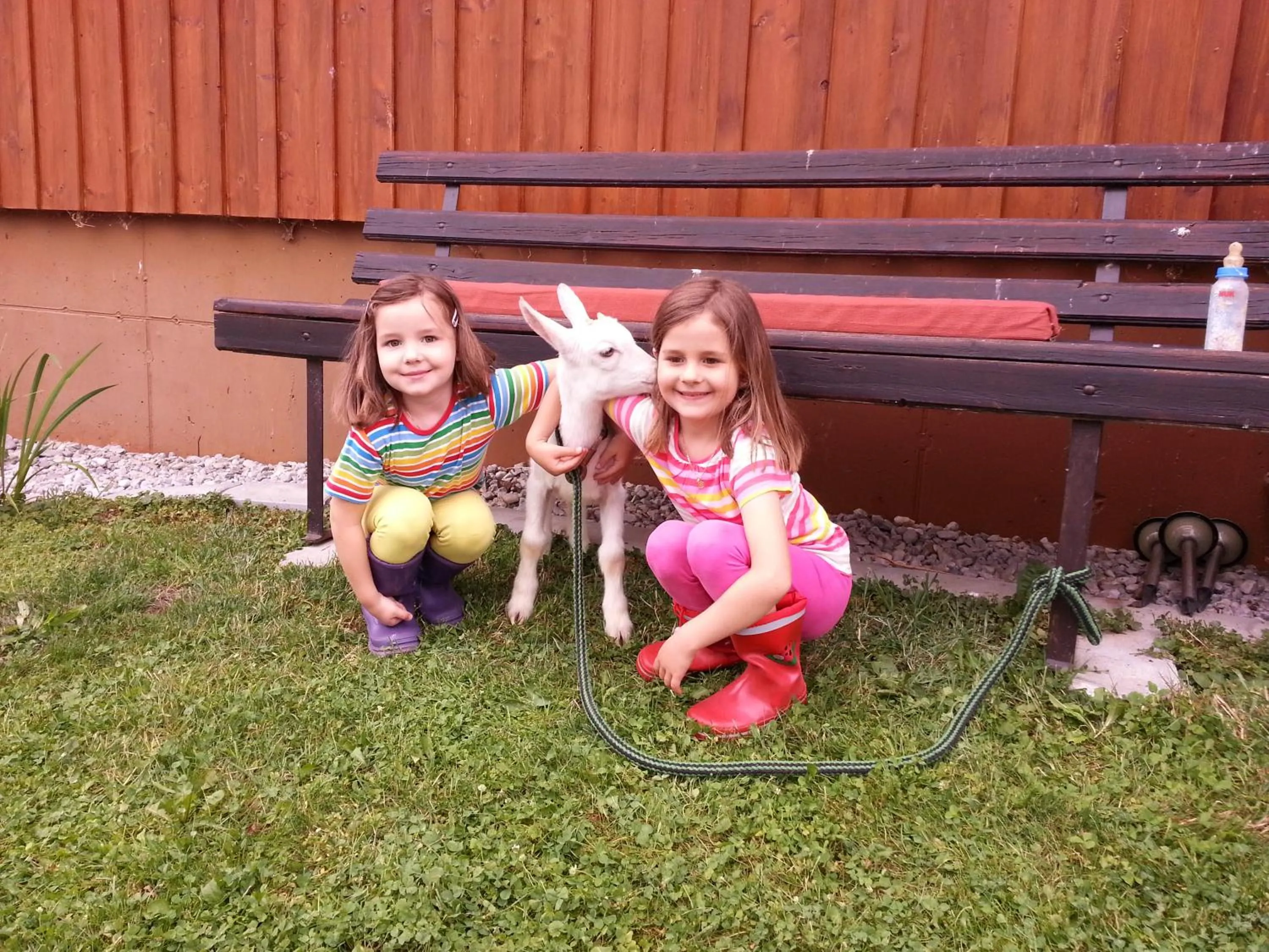 Pets in Denggalahof