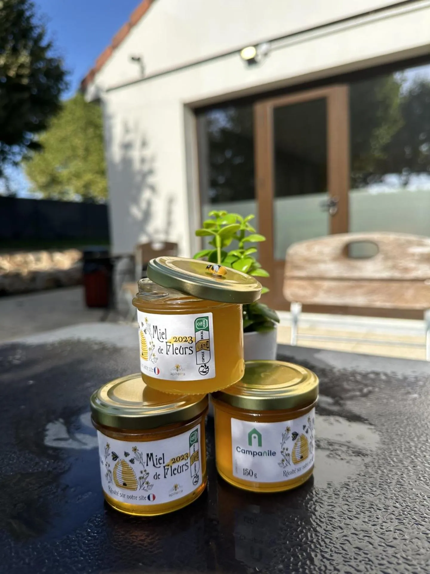 Natural landscape in Campanile Melun Sénart