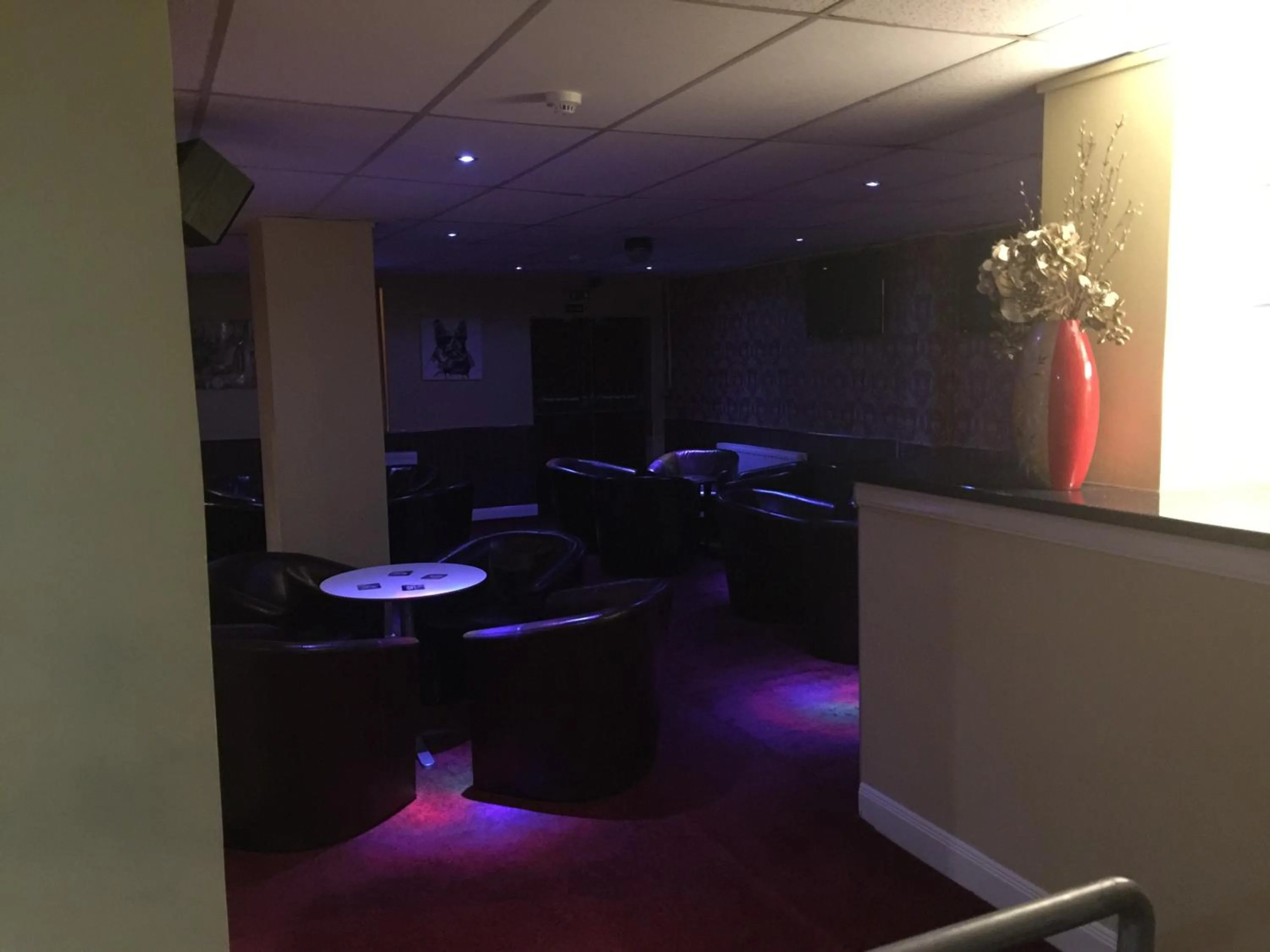 Lounge or bar in Laughing Buddha Guesthouse