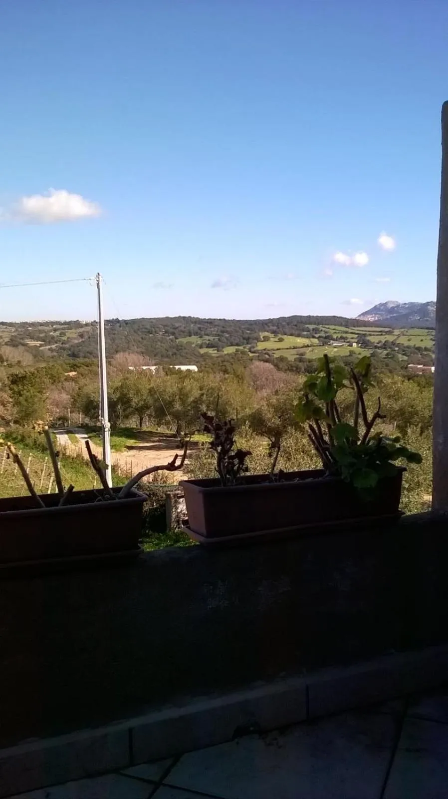 Balcony/Terrace in Agriturismo La Vigna