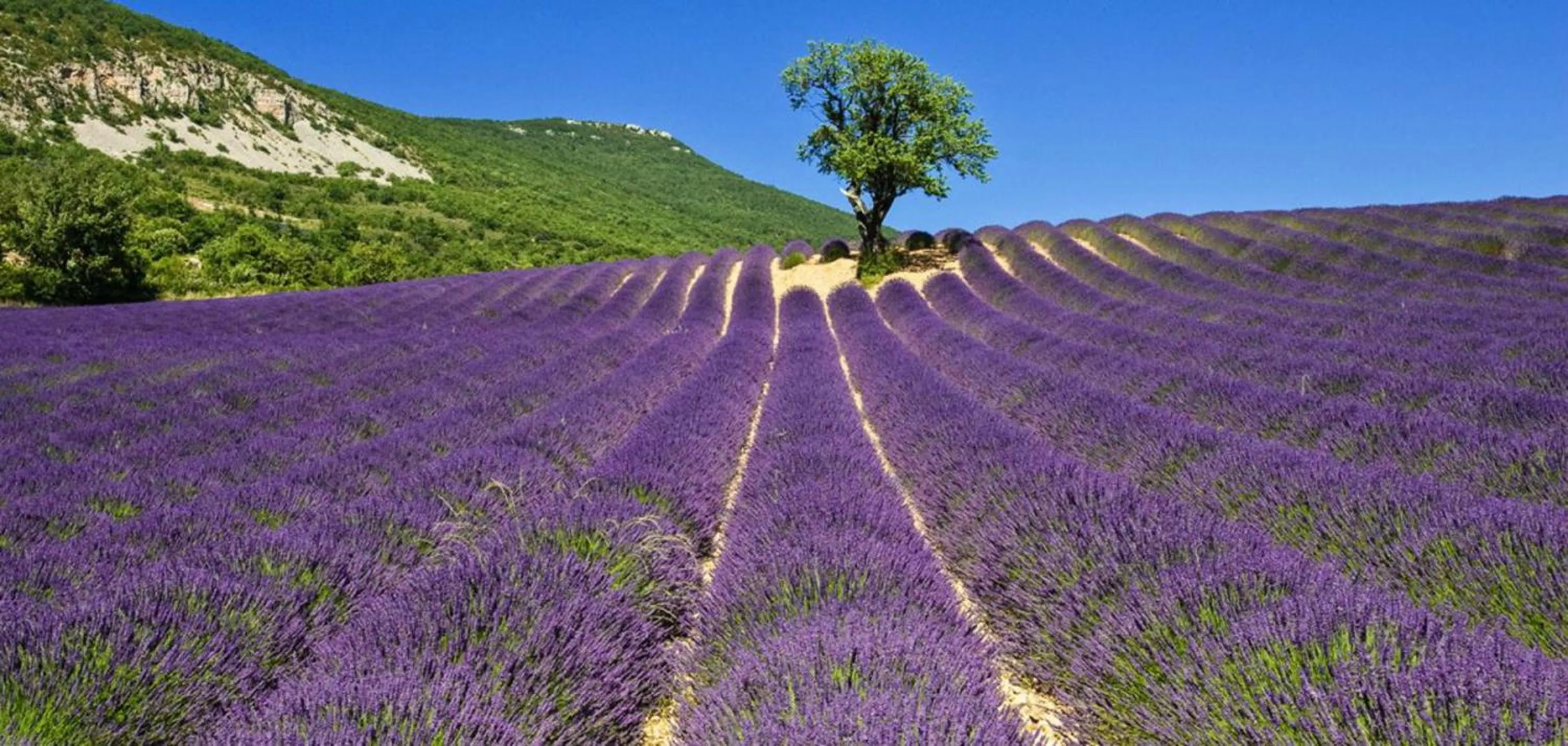 Nearby landmark in Campanile Valence Sud