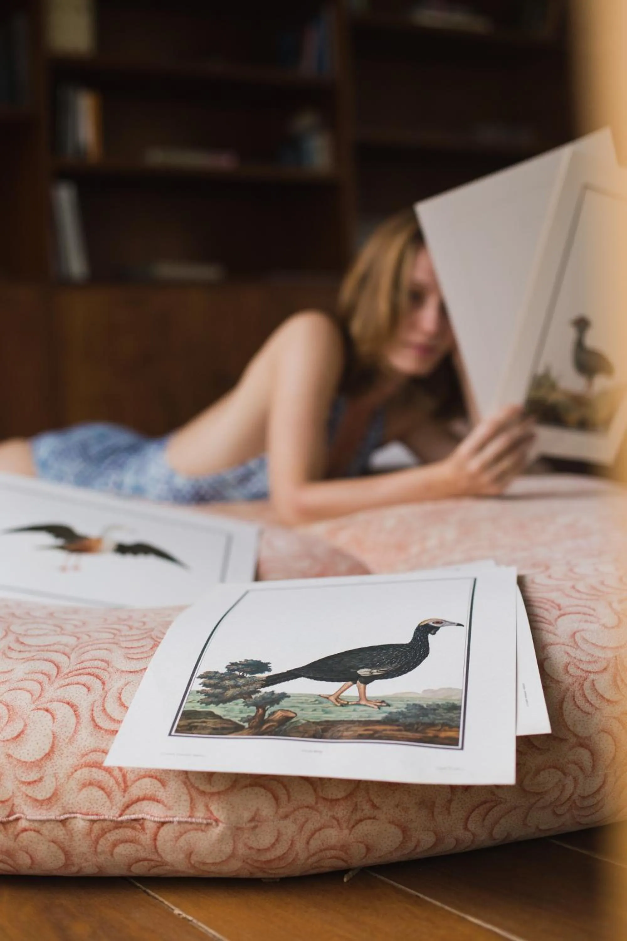 Library in Chez Georges
