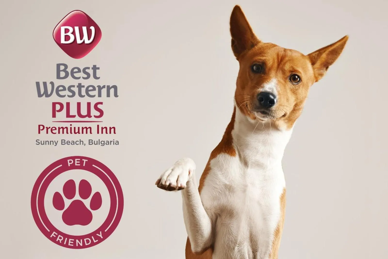 Pets in Best Western PLUS Premium Inn