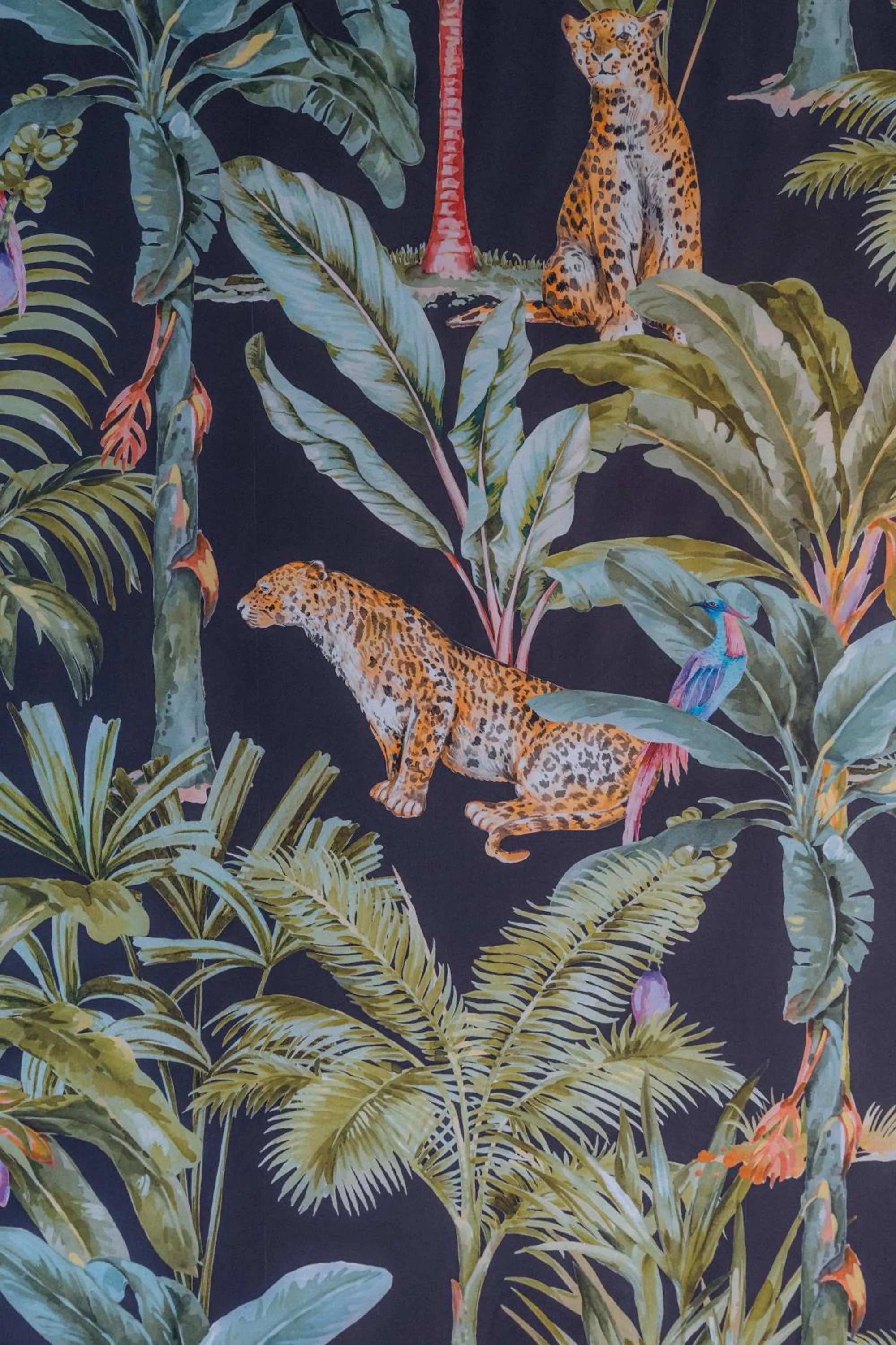 Restaurant/places to eat in Kyriad Cannes - Mandelieu