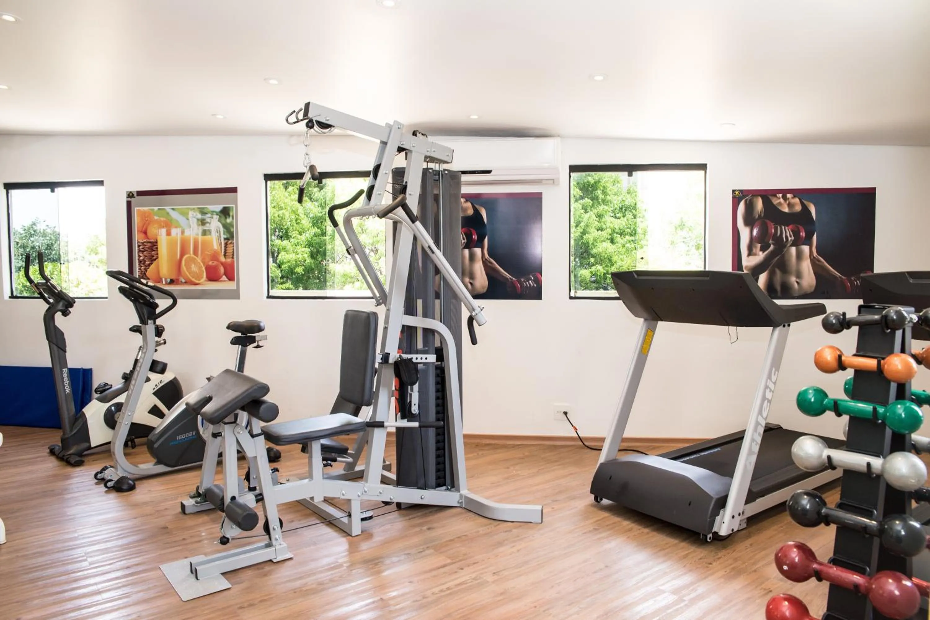 Fitness centre/facilities in Royal Center Hotel Lourdes