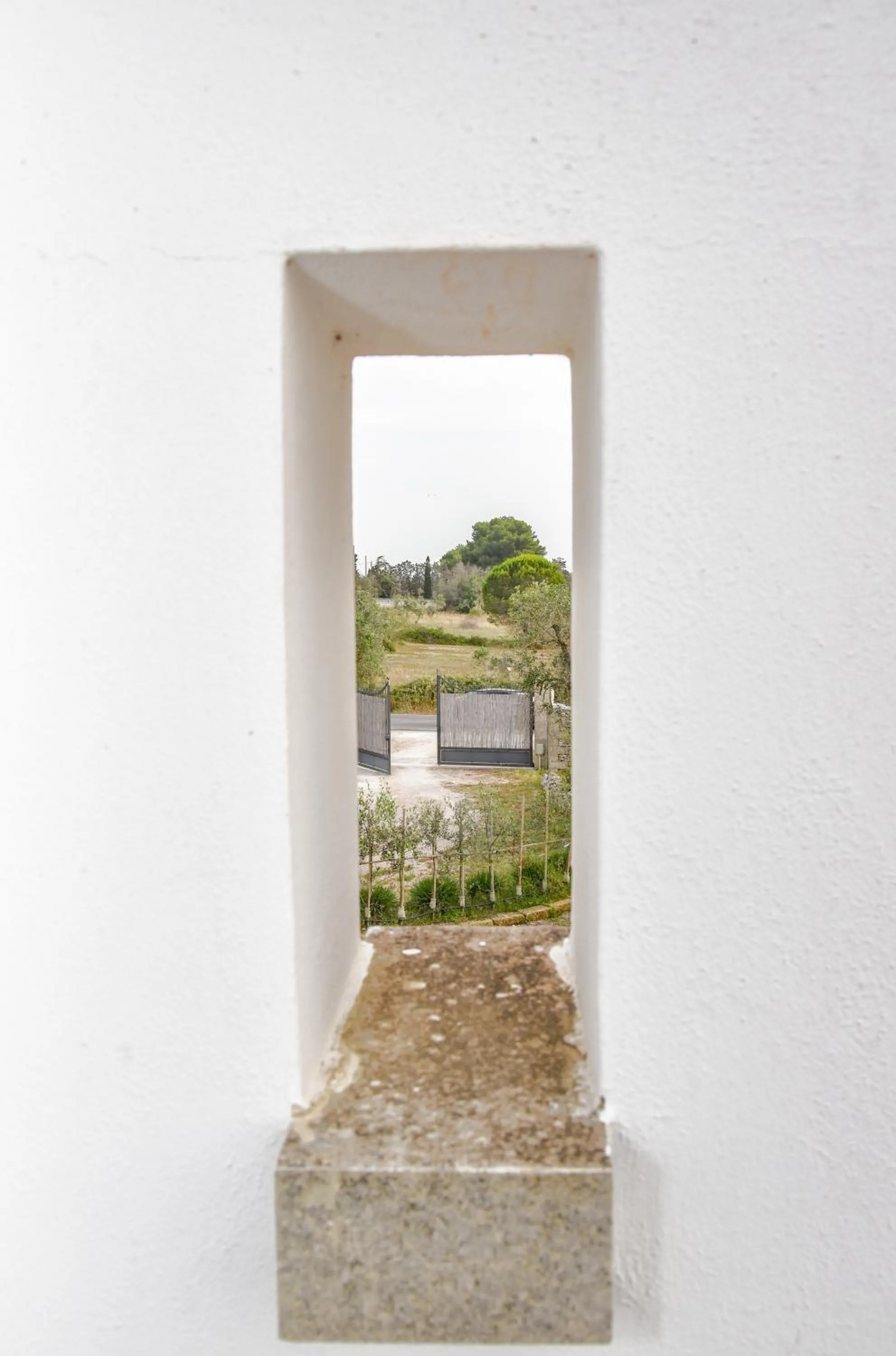 Natural landscape in Agriturismo Tenuta Calitre