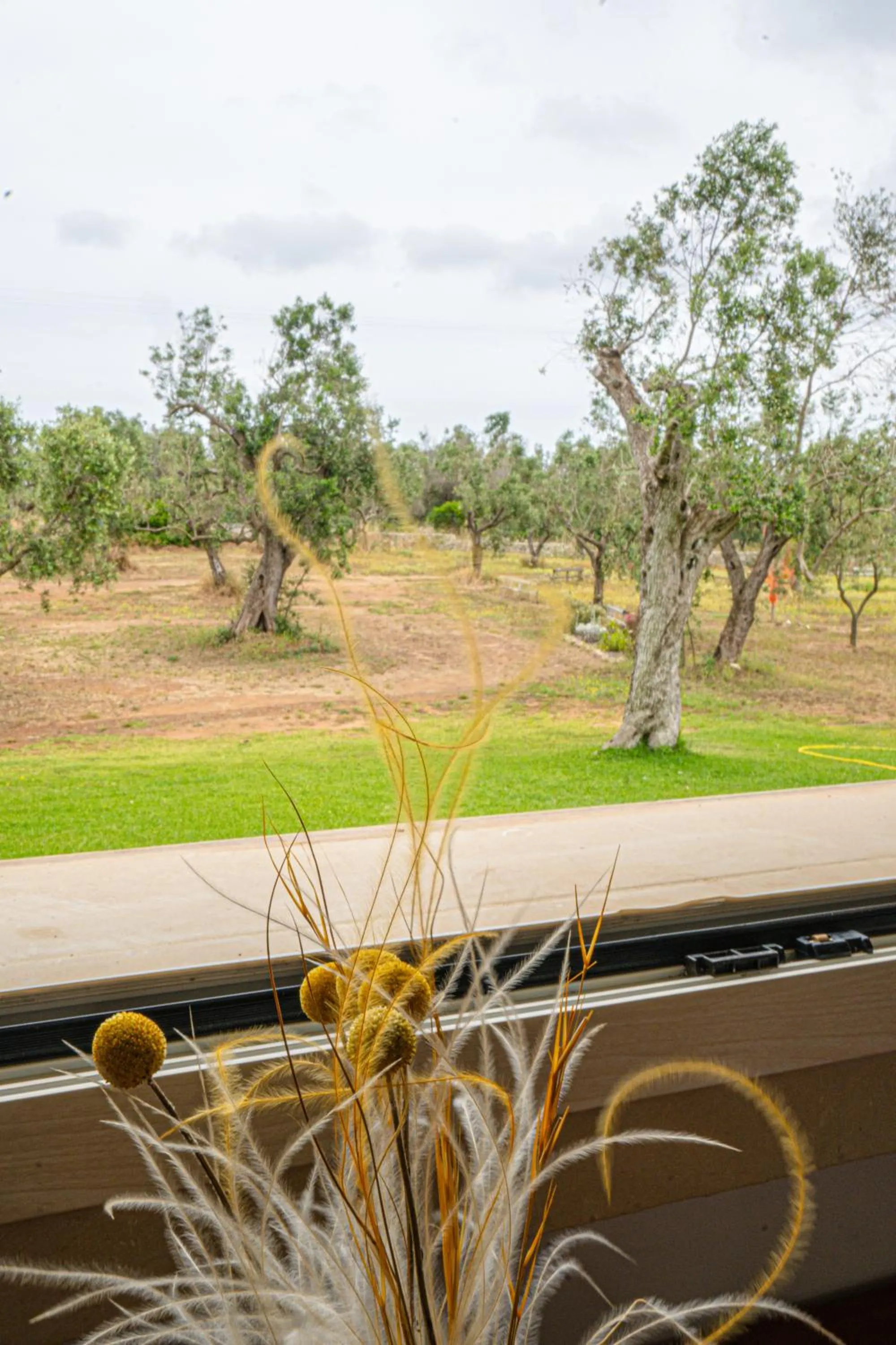 Day in Agriturismo Tenuta Calitre