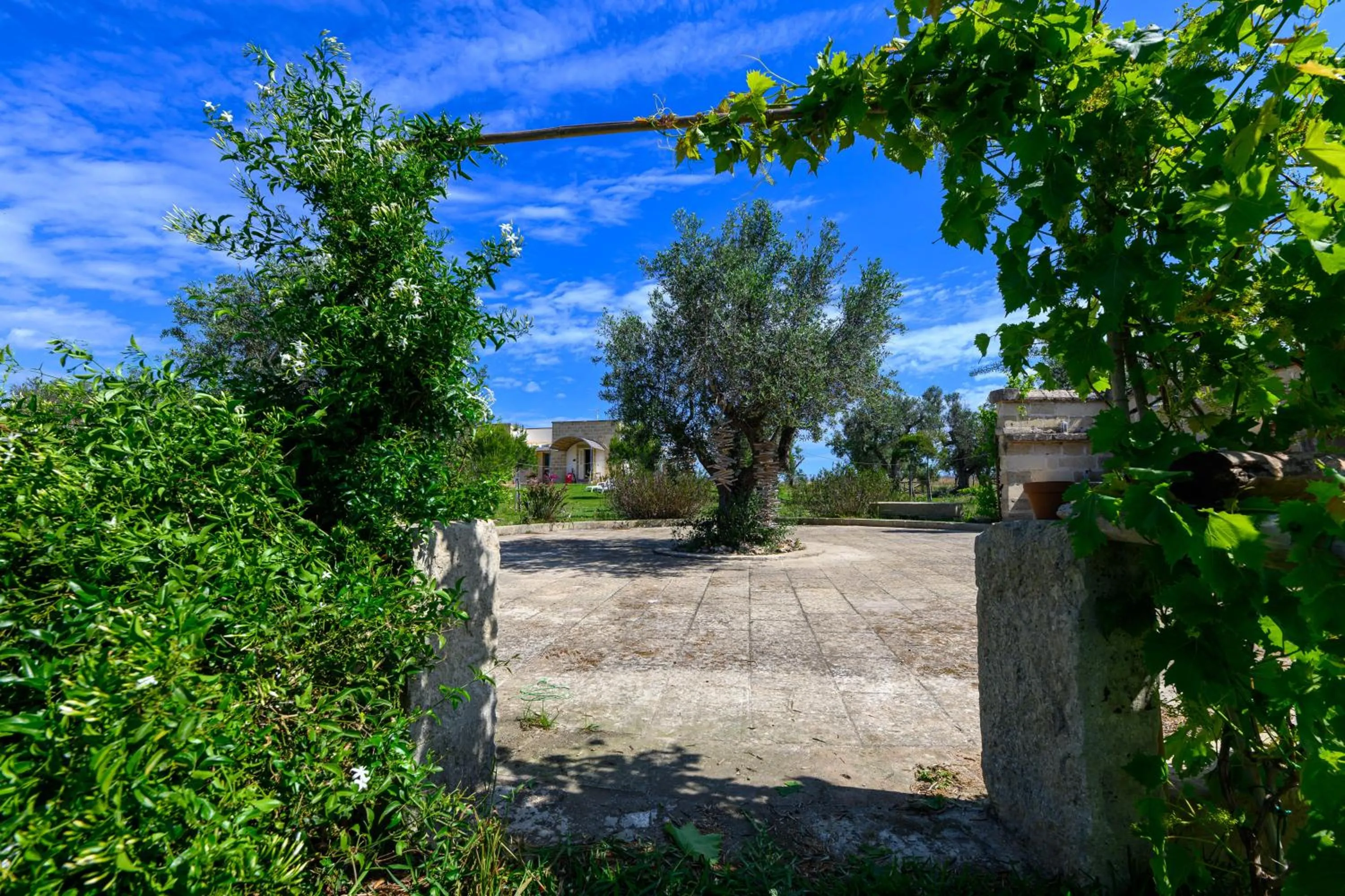 Day in Agriturismo Tenuta Calitre