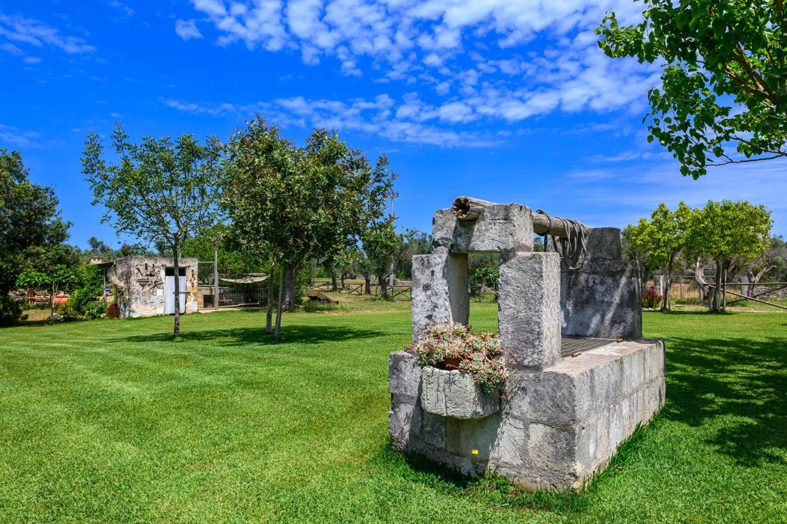 Natural landscape in Agriturismo Tenuta Calitre