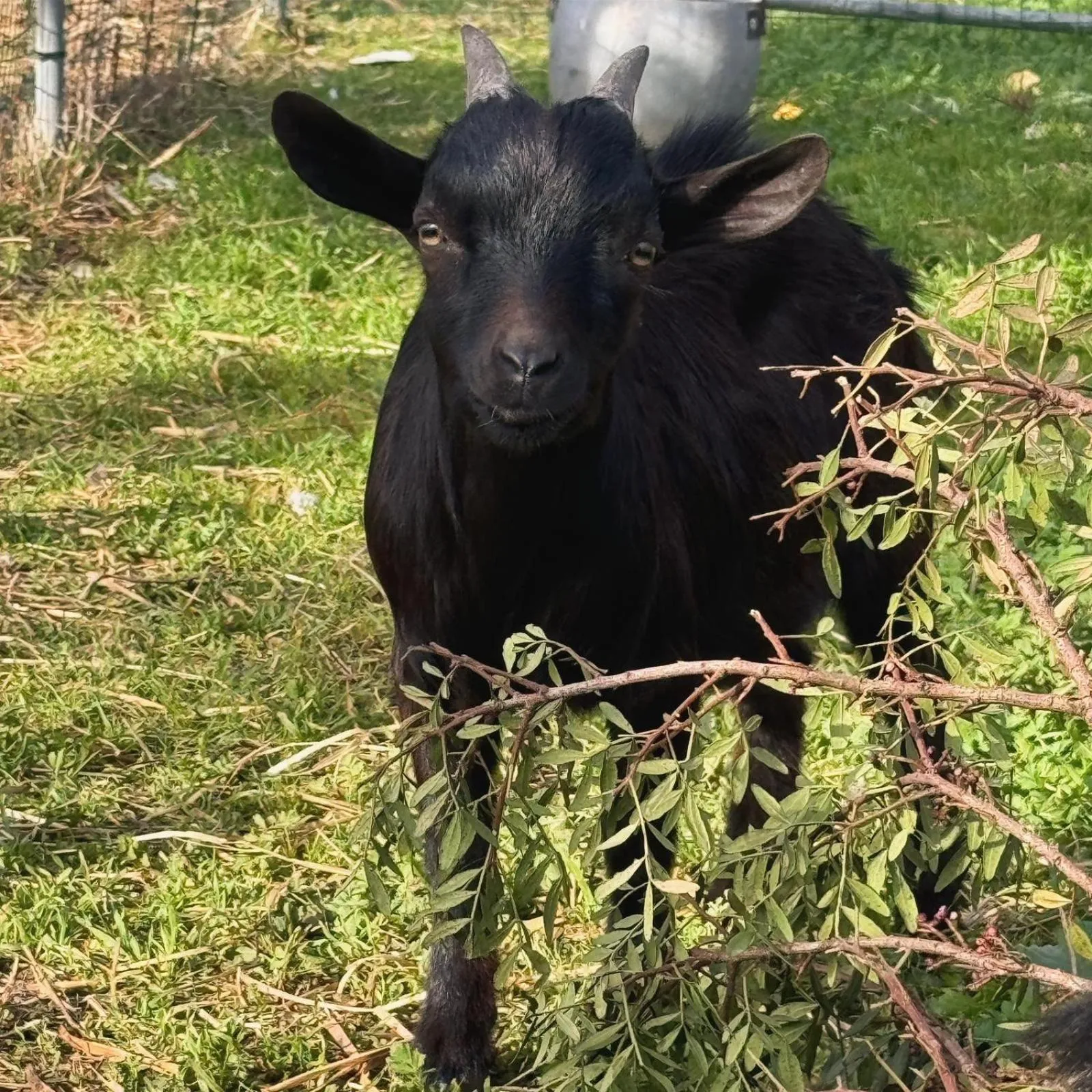 Day in Agriturismo Tenuta Calitre